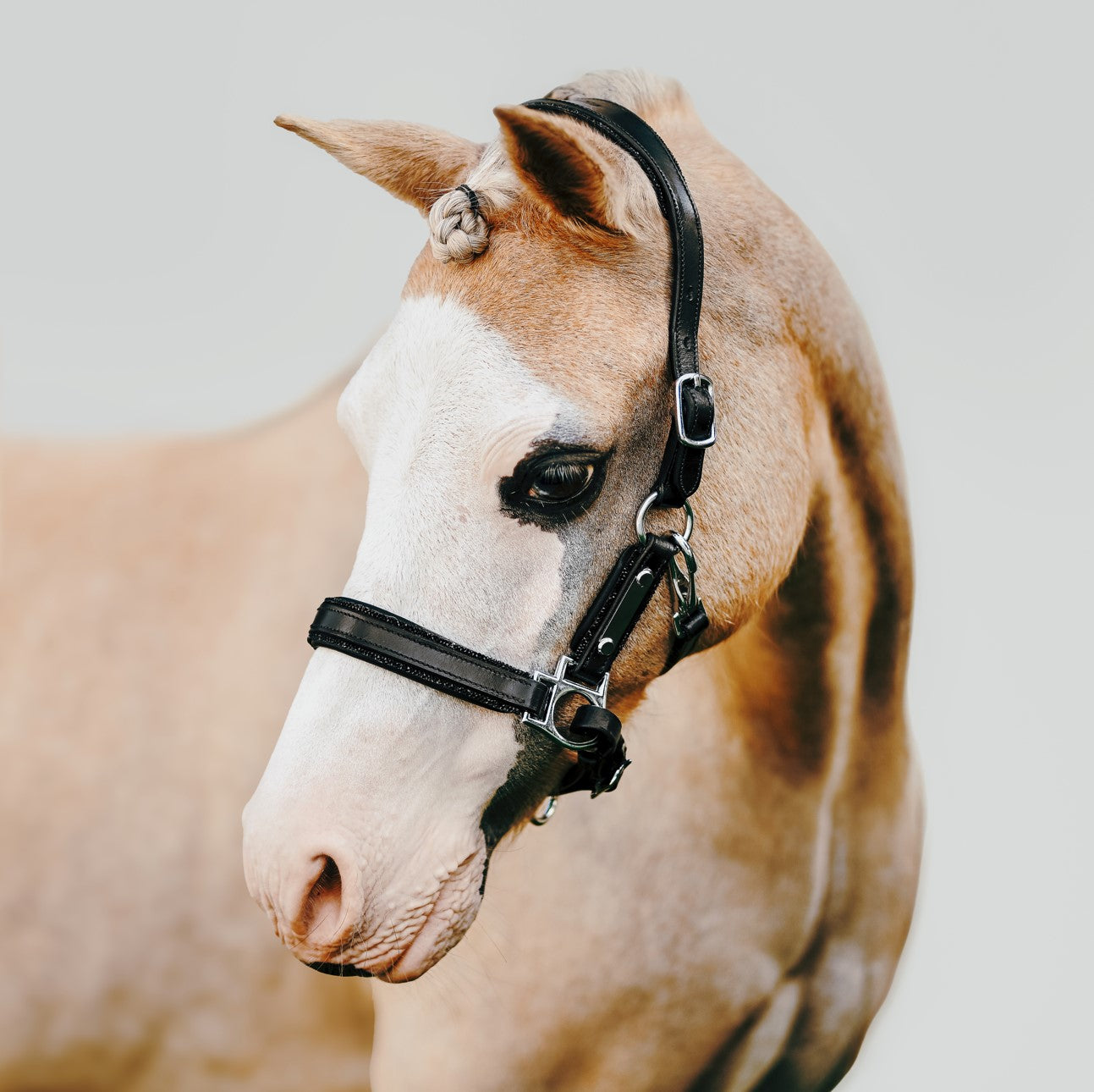 'Vegas' glitter leather halter (Lumi Pony) - Lumiere Equestrian
