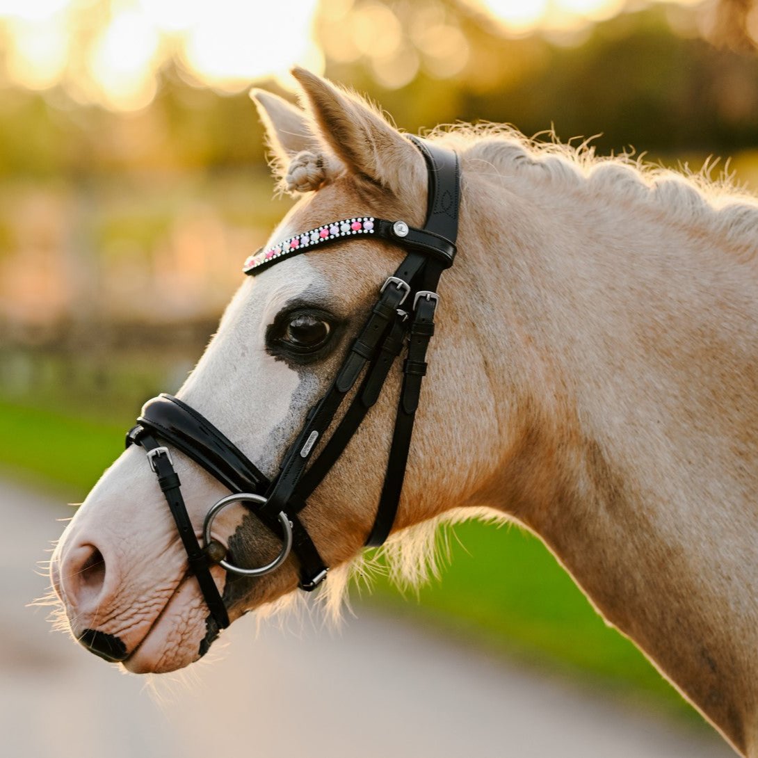 Unicorn bridle (Lumi Pony) - Lumiere Equestrian