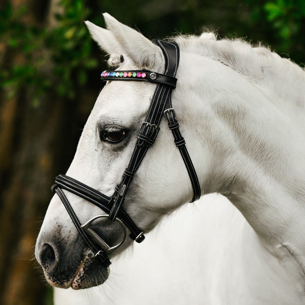 Rainbow bridle (convertible) (Lumi Pony) (Clearance) - Lumiere Equestrian