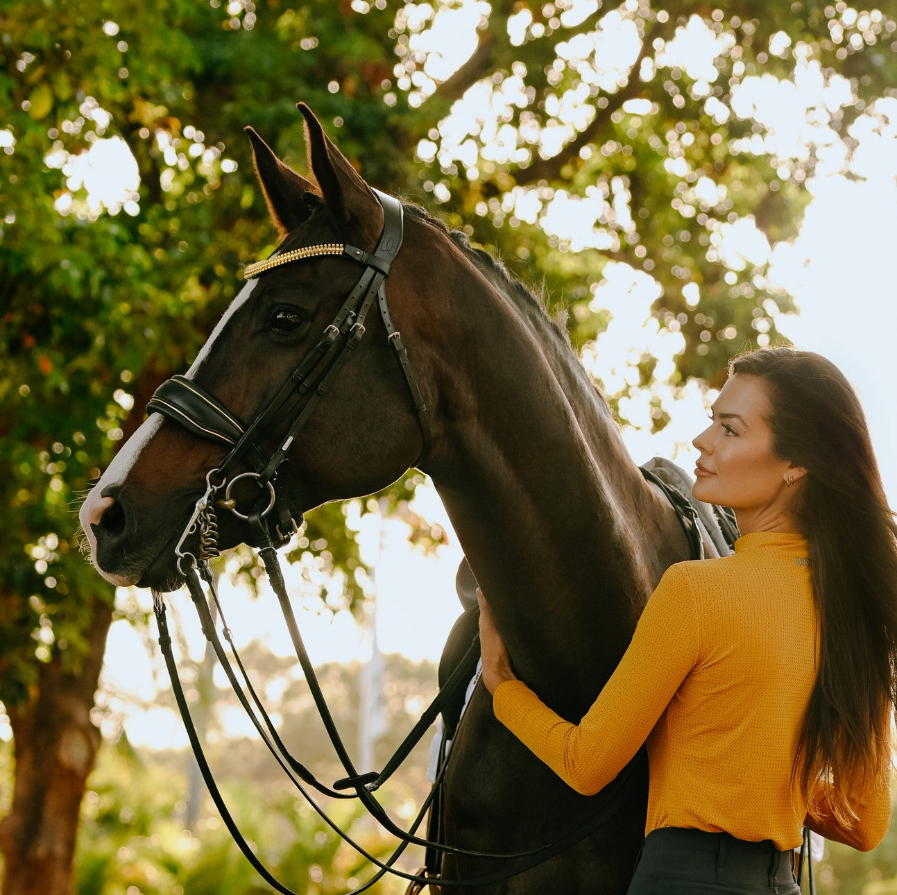 Delta bridle (double) - Lumiere Equestrian