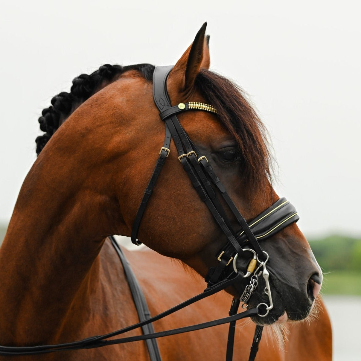 Delta bridle (double) - Lumiere Equestrian
