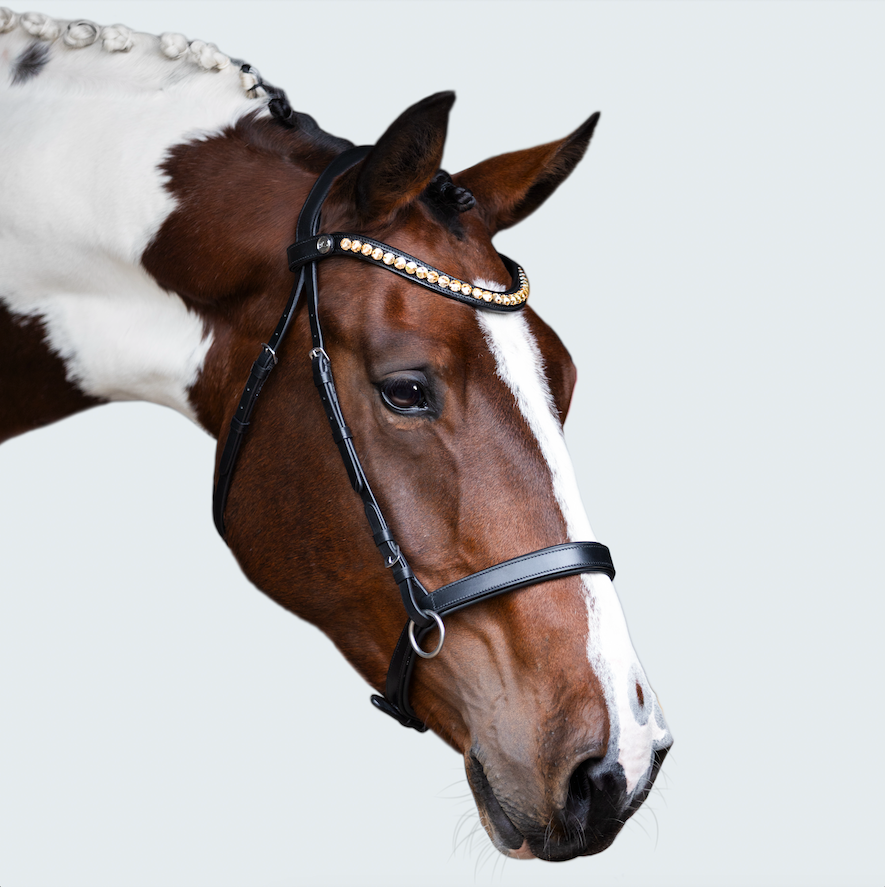 Seline Bitless Bridle - Lumiere Equestrian
