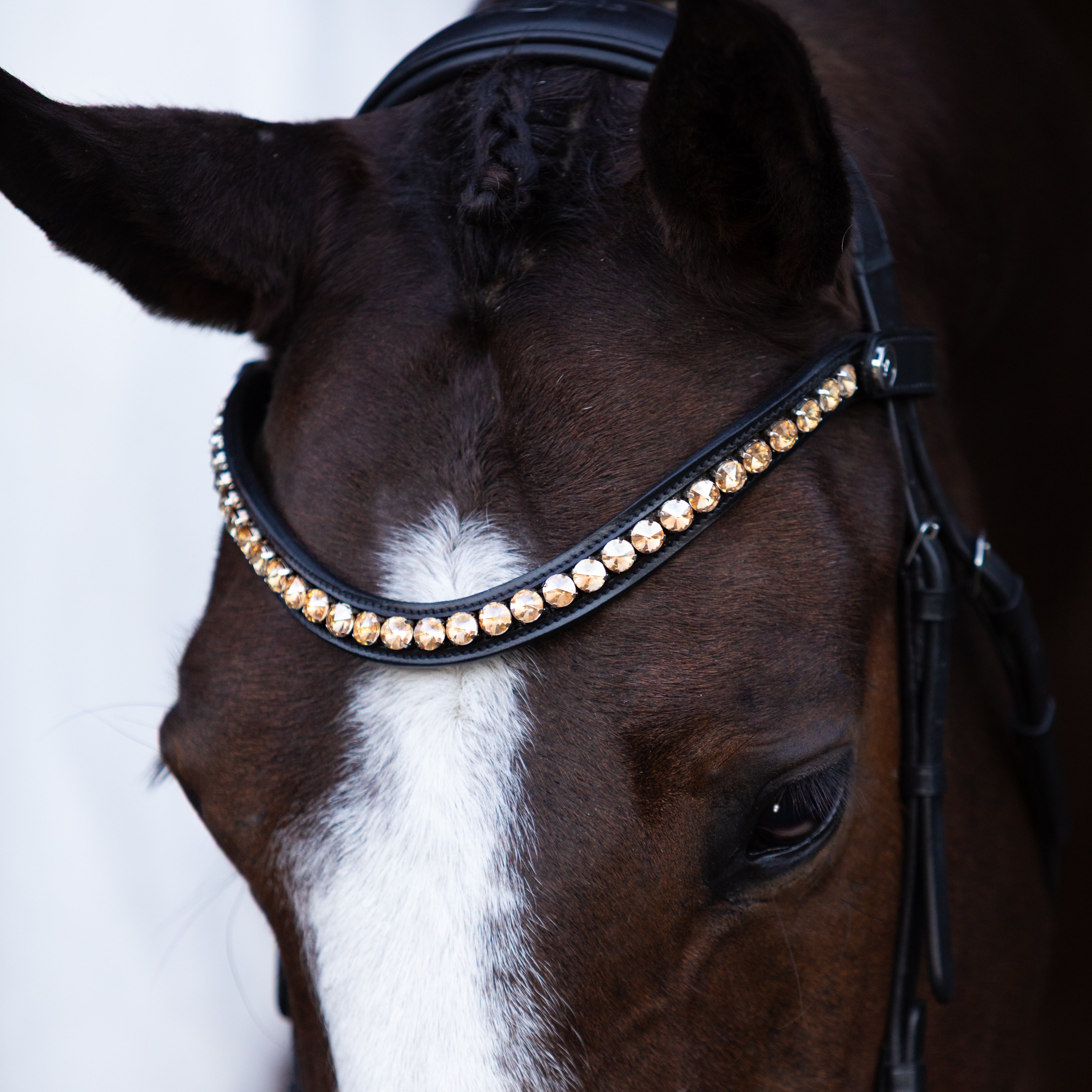 Seline Bitless Bridle - Lumiere Equestrian