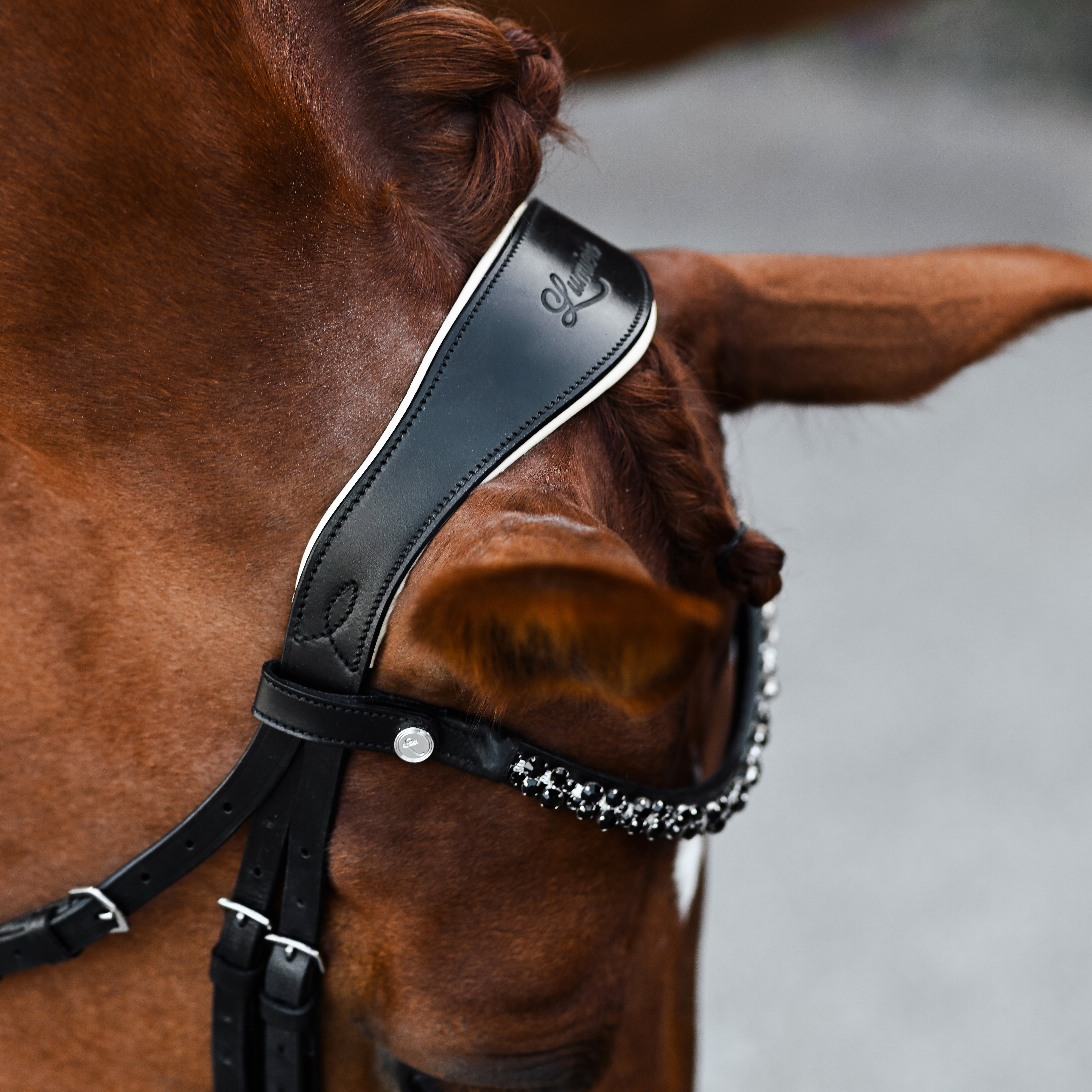 Sibella Bridle (hanoverian) - Lumiere Equestrian