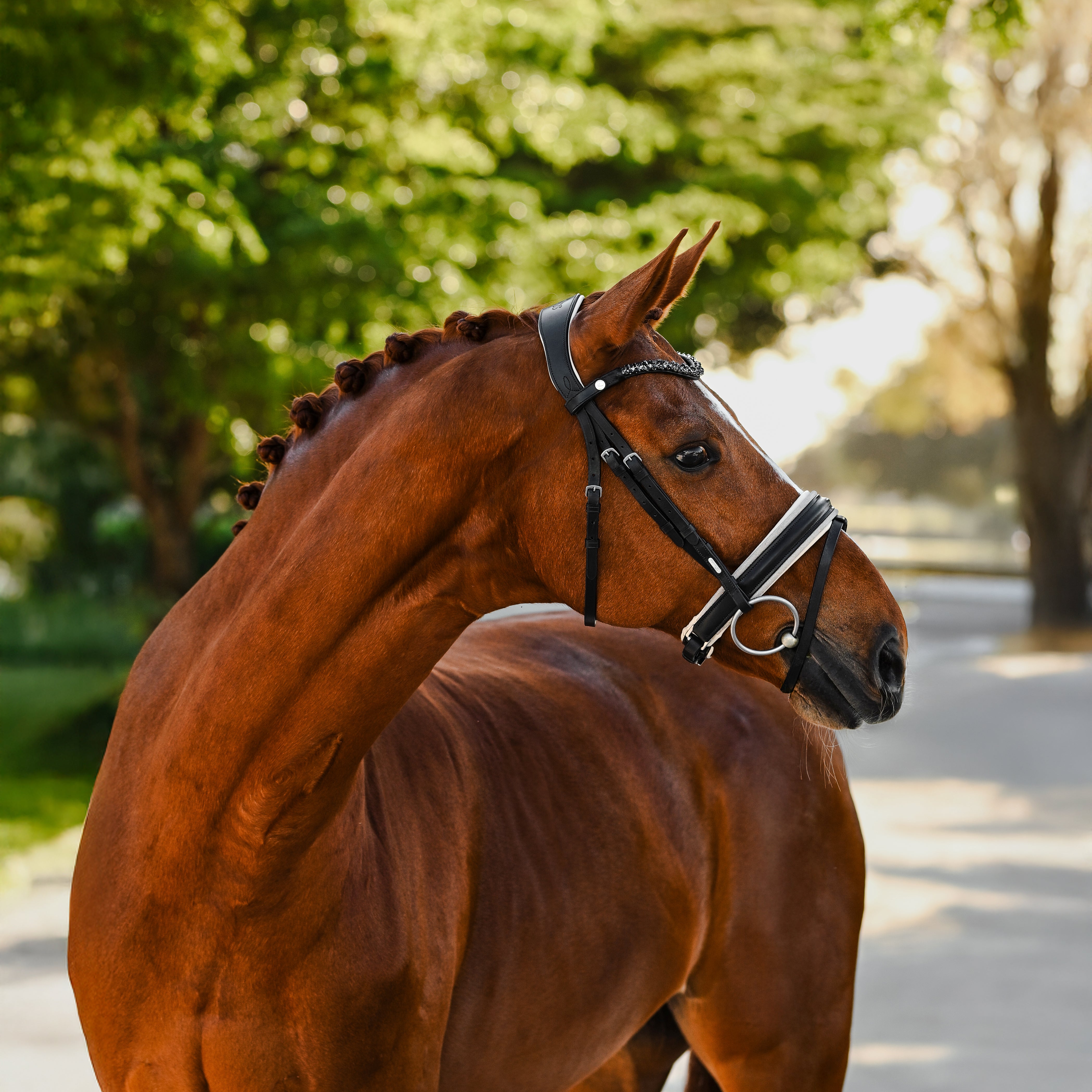 Sibella Bridle (hanoverian) - Lumiere Equestrian
