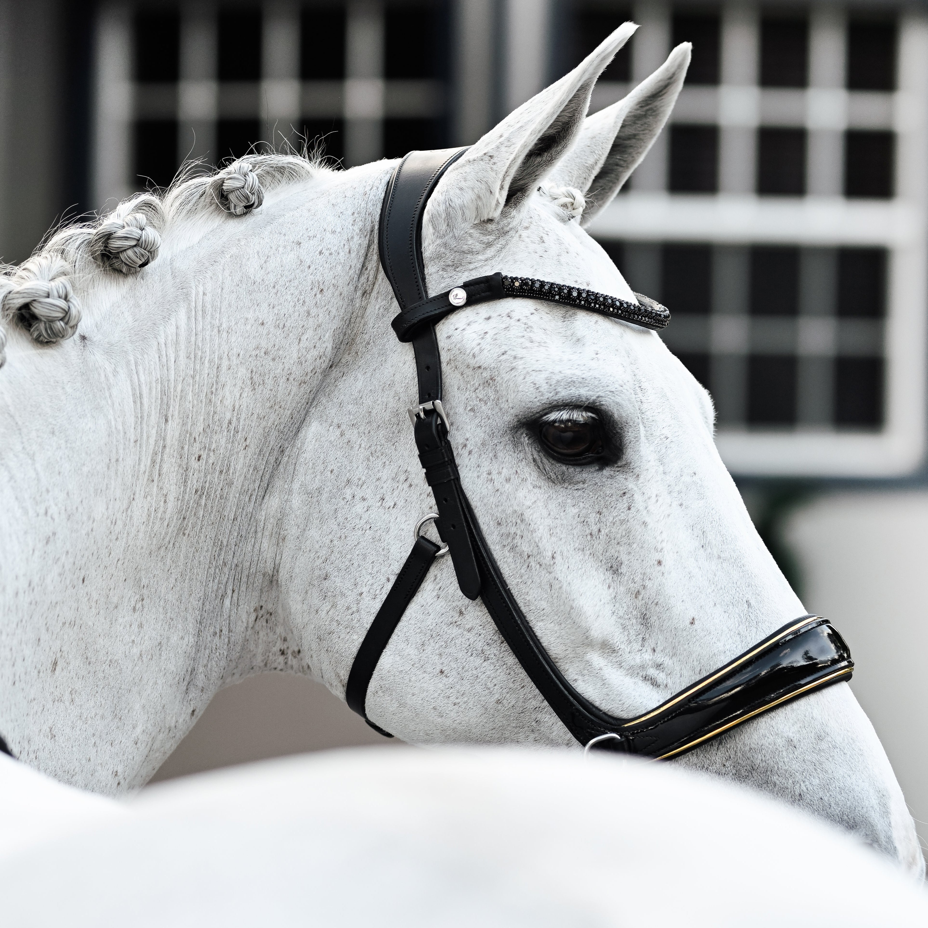 Skyla Bitless Bridle - Lumiere Equestrian