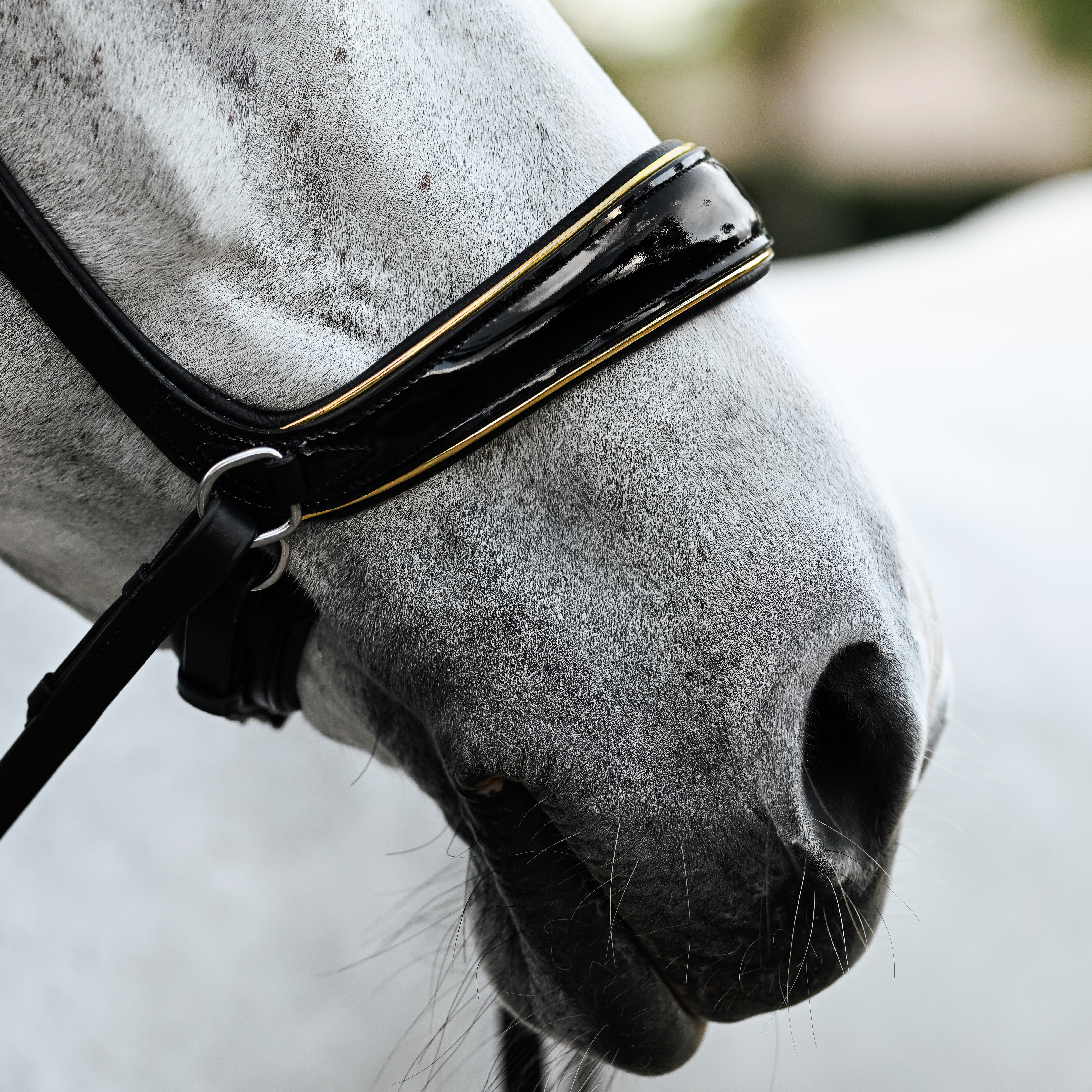 Skyla Bitless Bridle - Lumiere Equestrian