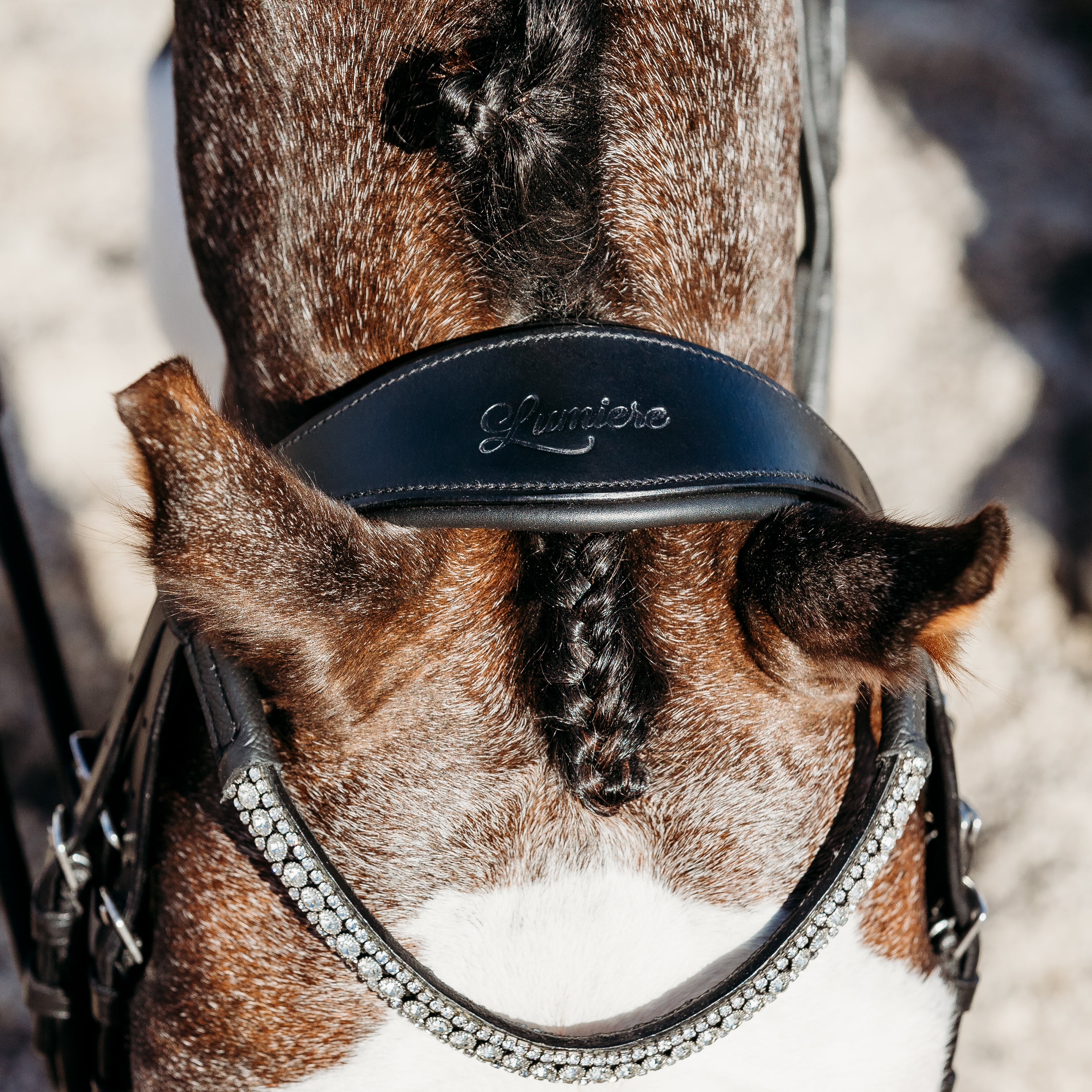 Solitaire crystal browband (Lumi Pony) - Lumiere Equestrian