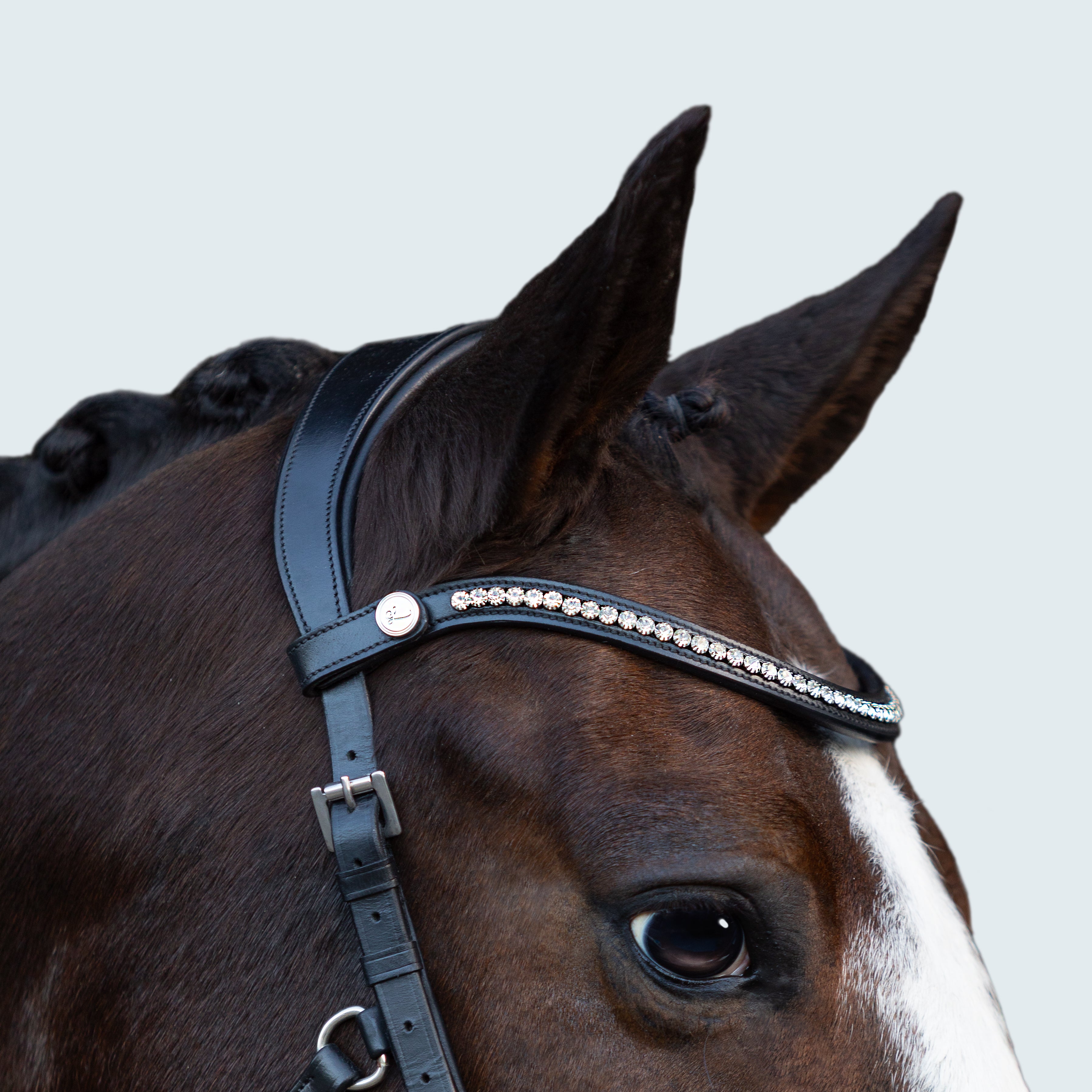 Symphony Bitless Bridle - Lumiere Equestrian