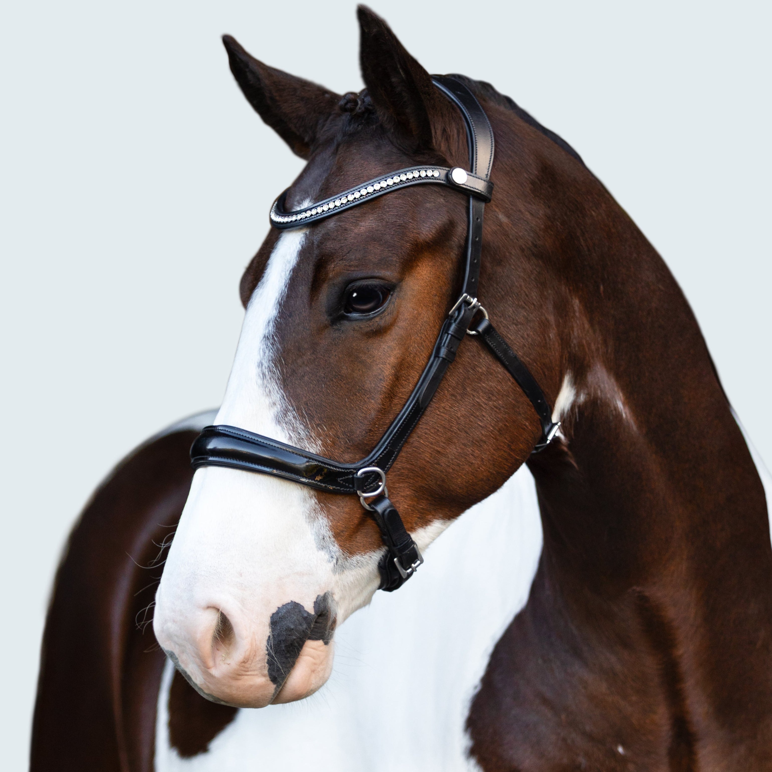 Symphony Bitless Bridle - Lumiere Equestrian