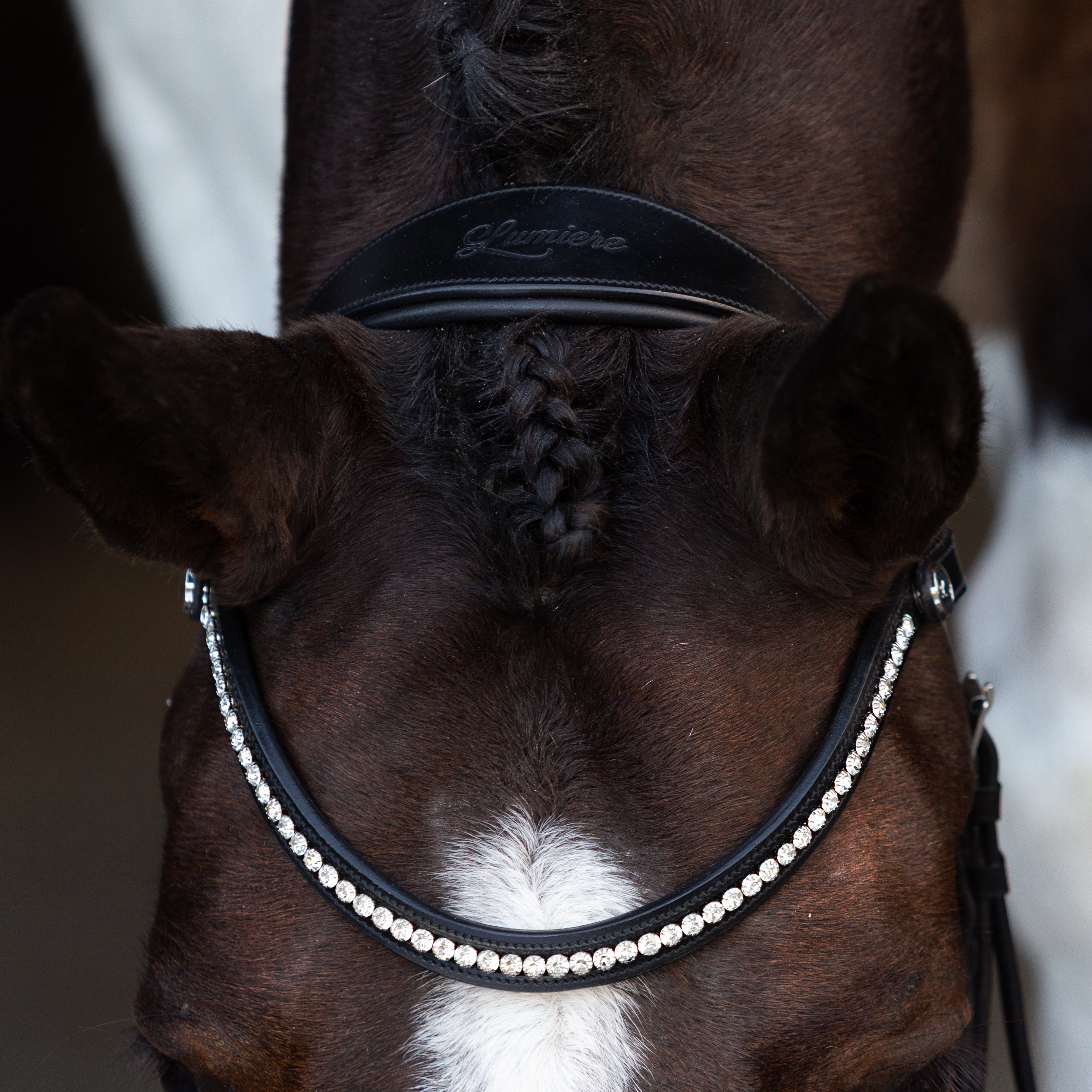Symphony Bitless Bridle - Lumiere Equestrian