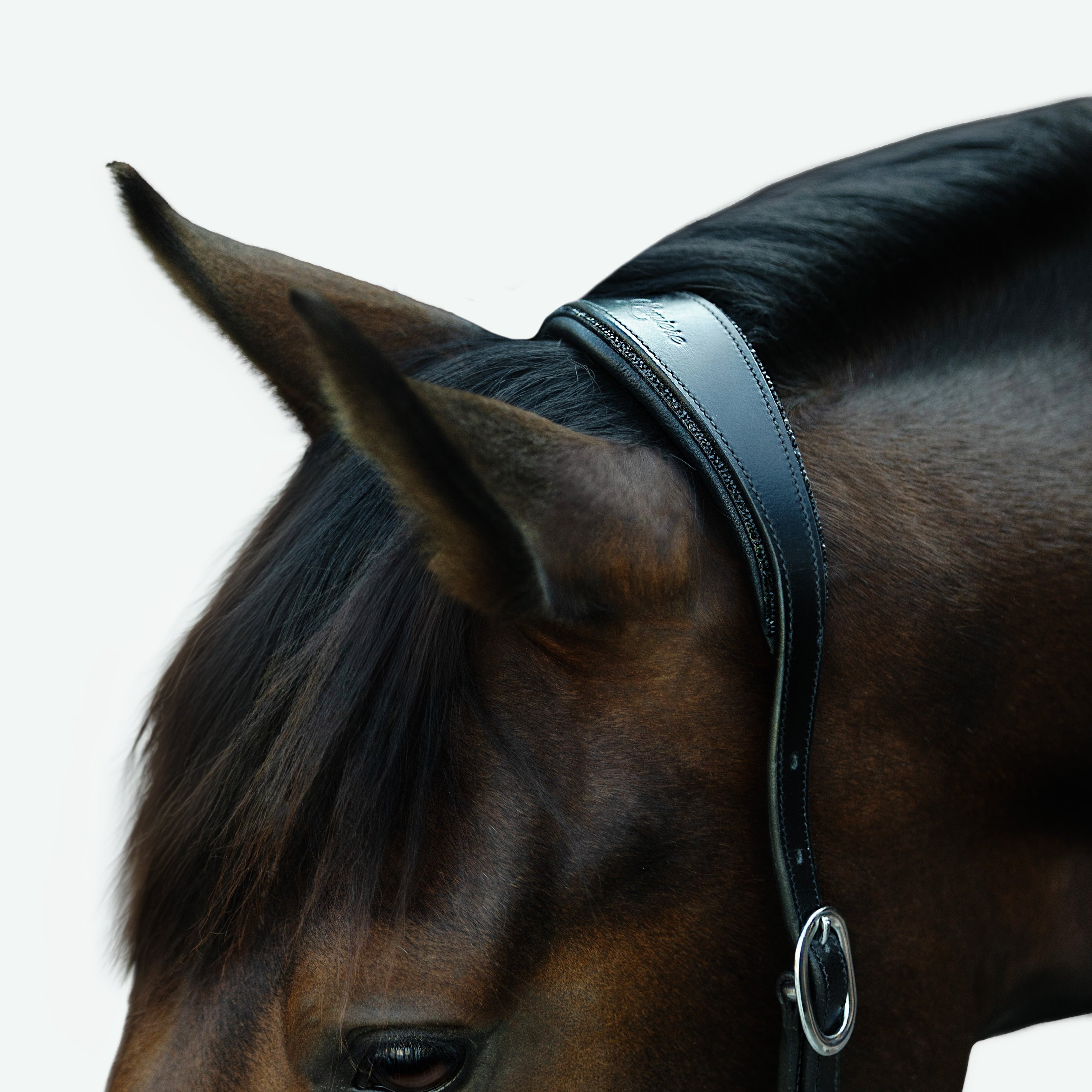 'Vegas' glitter leather halter - Lumiere Equestrian