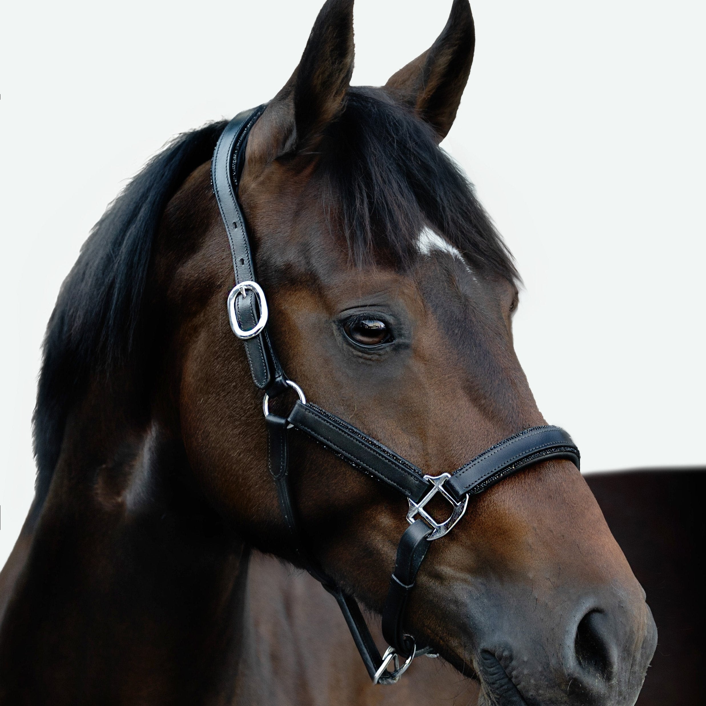 'Vegas' glitter leather halter (Lumi Pony) - Lumiere Equestrian