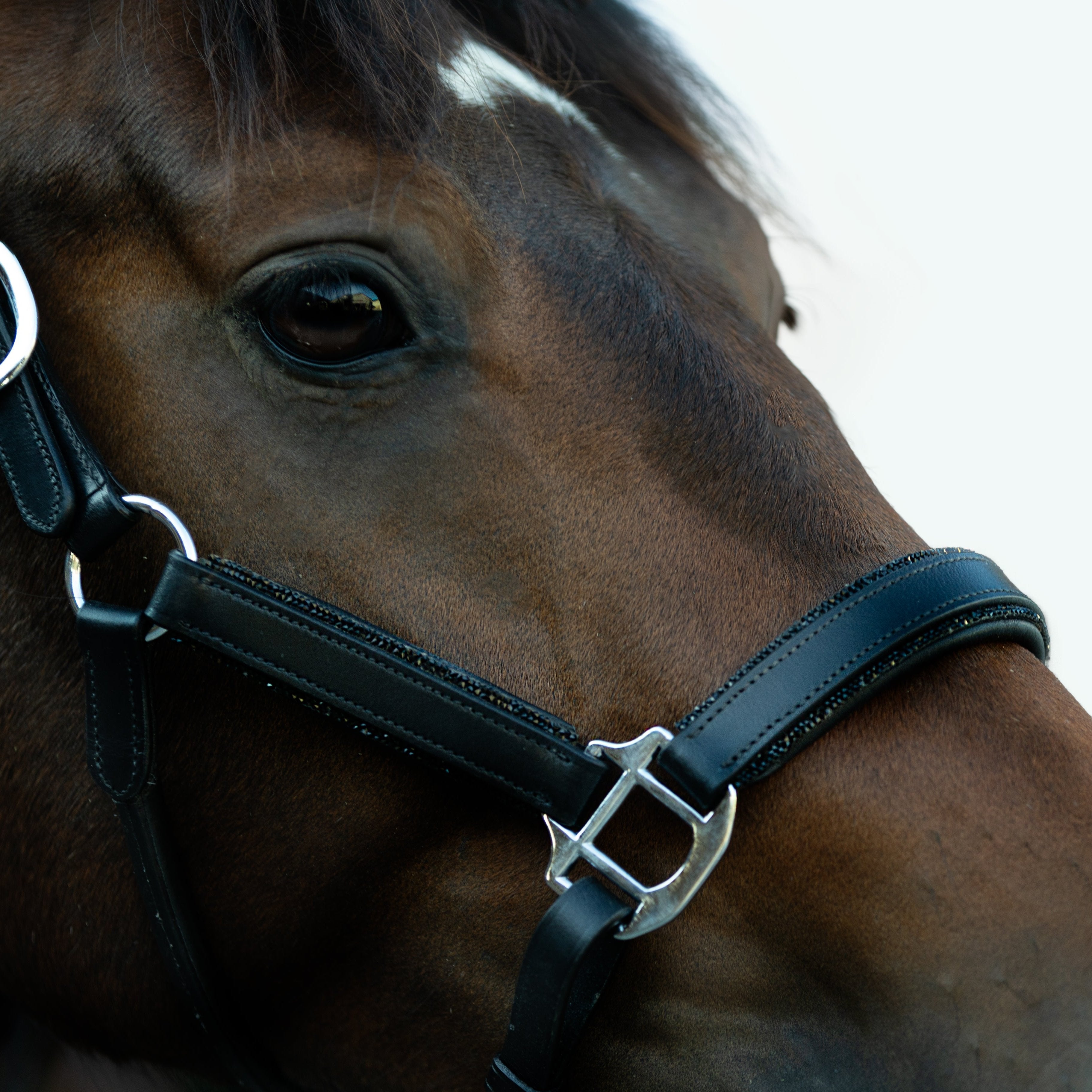 'Vegas' glitter leather halter (Lumi Pony) - Lumiere Equestrian