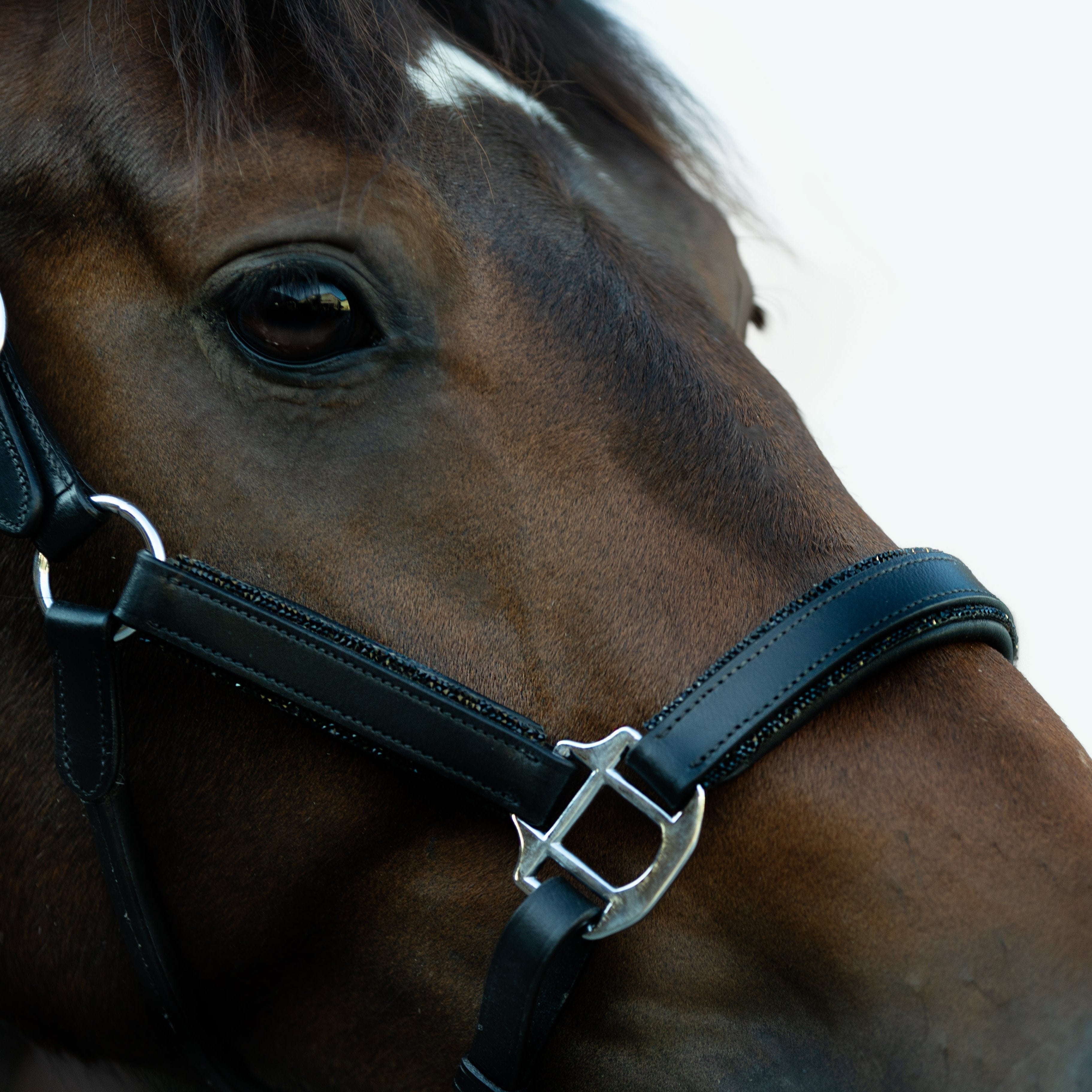 'Vegas' glitter leather halter - Lumiere Equestrian