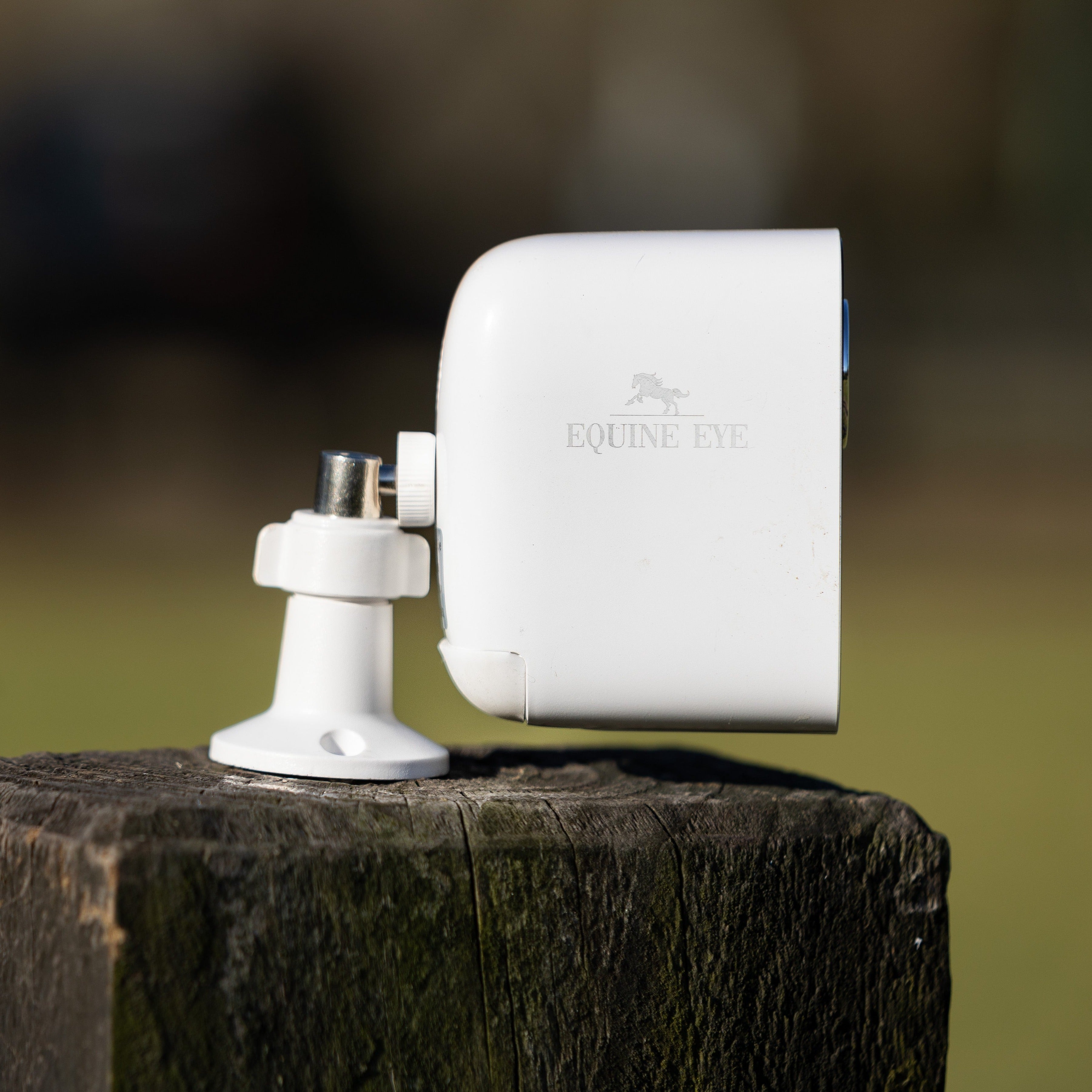 Equine Eye Vision - Lumiere Equestrian