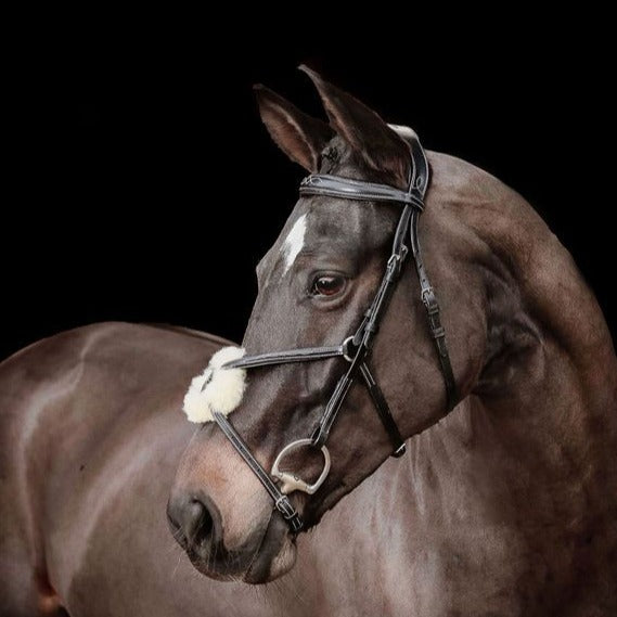 'Ava' Italian leather grackle bridle - black & brown - Lumiere Equestrian