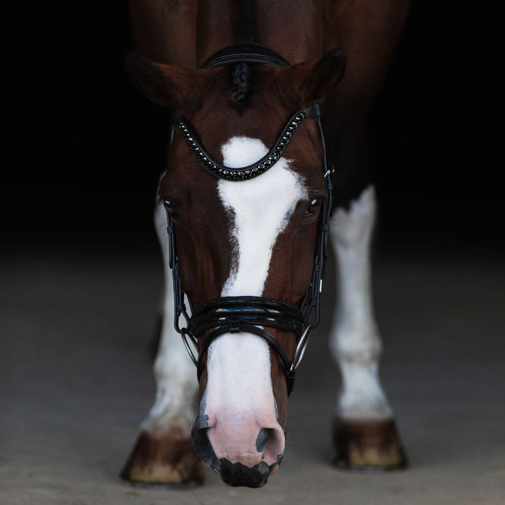 'Arcadia' Luxury Leather Bridle (hanoverian) - Lumiere Equestrian