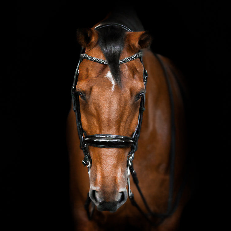 Audrey Black Italian Leather Double Bridle - Lumiere Canada