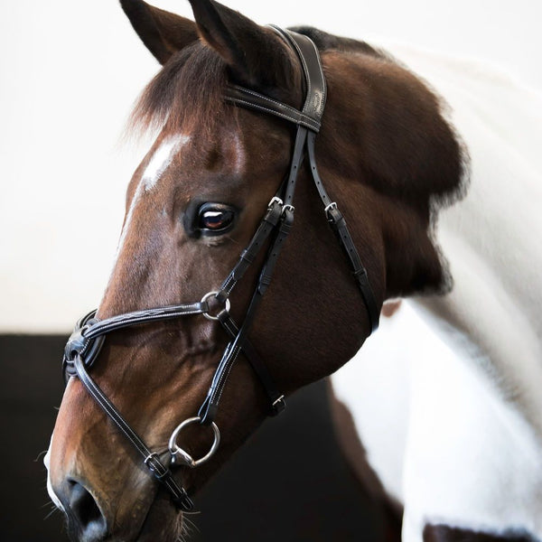 'Ava' Italian leather grackle bridle (no sheepskin) - black & brown - Lumiere Equestrian