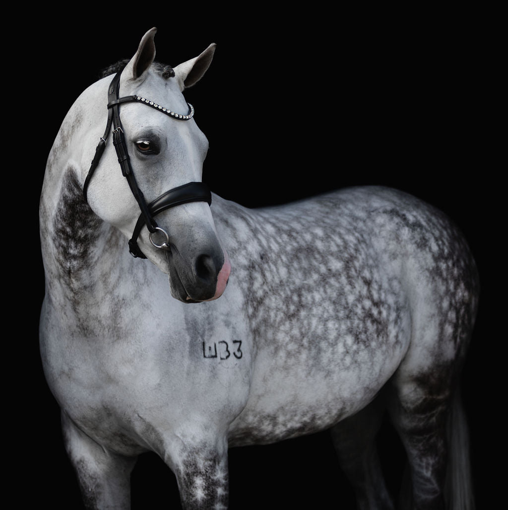 'Abigail' Leather Bridle (Convertible) - Lumiere Equestrian