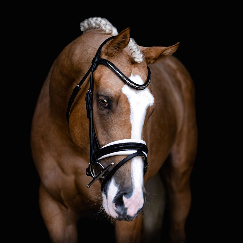'Melodie' white padded bridle - Lumiere Equestrian