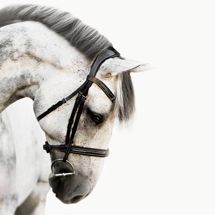 'Milan' bridle (convertible) - black & brown - Lumiere Equestrian