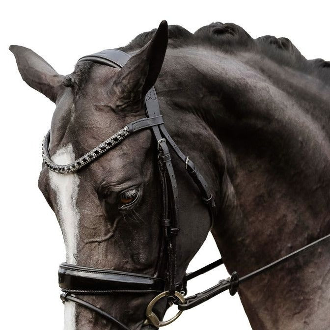 'Audrey' black Italian leather bridle