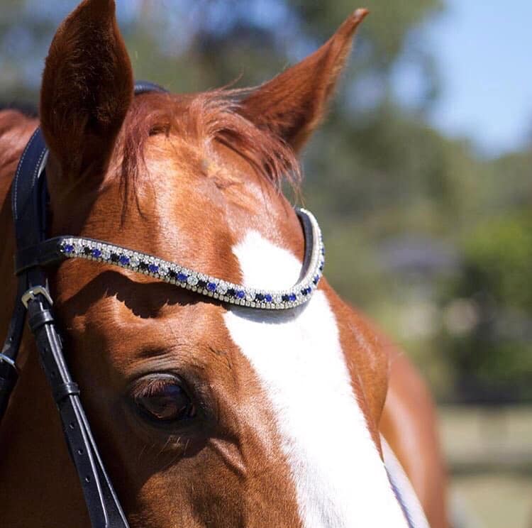 'Anastasia' Italian leather bridle (convertible) - black - Lumiere Equestrian