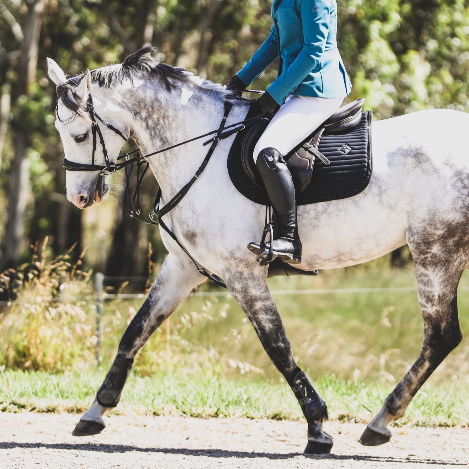 ‘Victory' 3-point Leather Breastplate - Lumiere Equestrian
