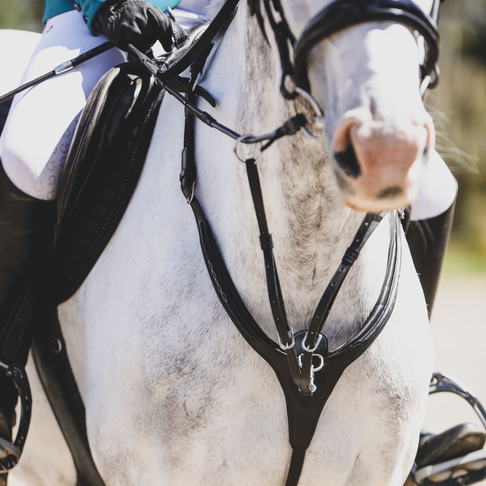 ‘Victory' 3-point Leather Breastplate - Lumiere Equestrian