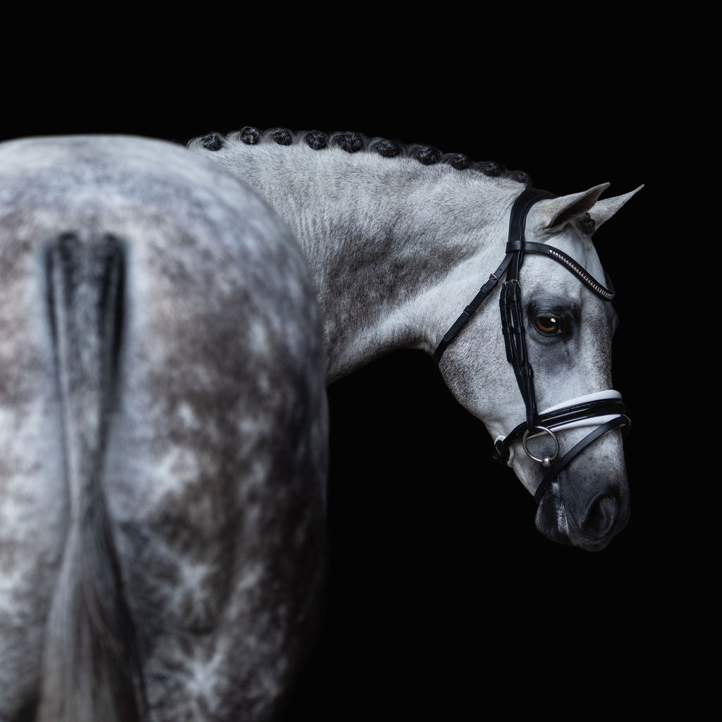 'Melodie' white padded bridle - Lumiere Equestrian
