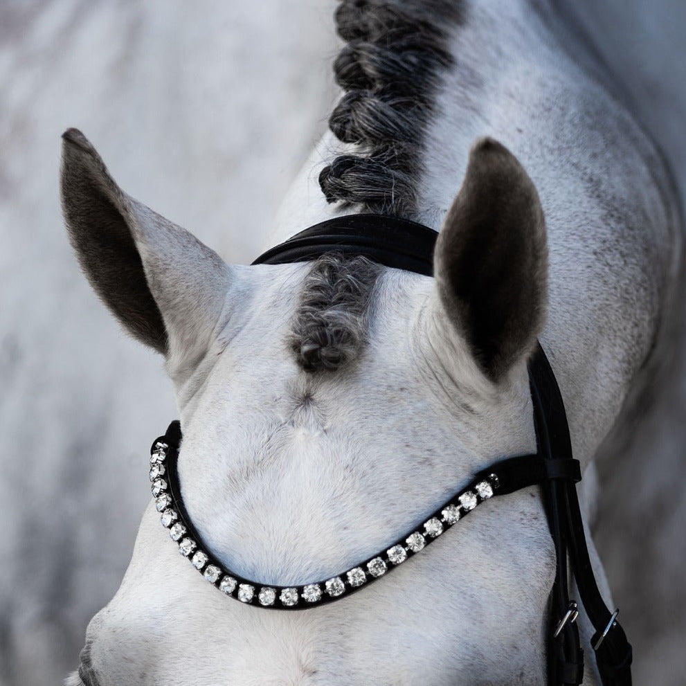 'Abigail' Leather Bridle (Convertible) - Lumiere Equestrian