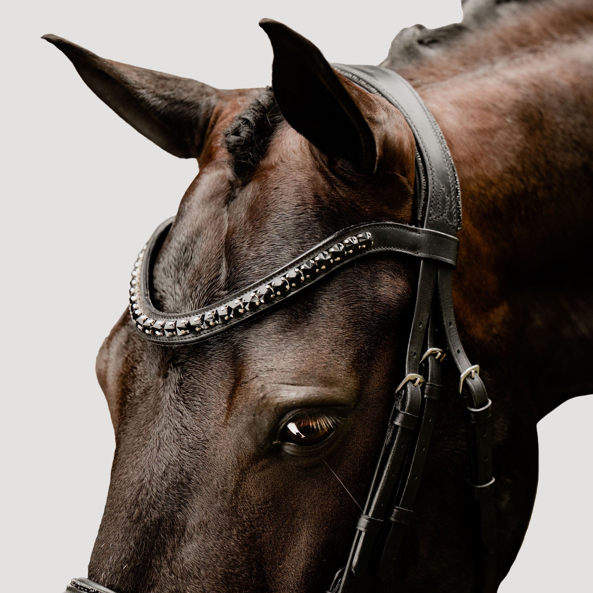 'Arcadia' Luxury Leather Bridle (Cavesson) - Lumiere Equestrian