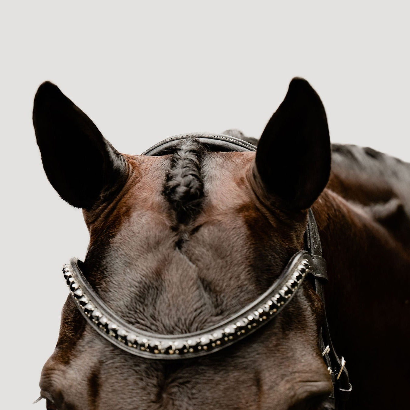 'Arcadia' Luxury Leather Bridle (Cavesson) - Lumiere Equestrian