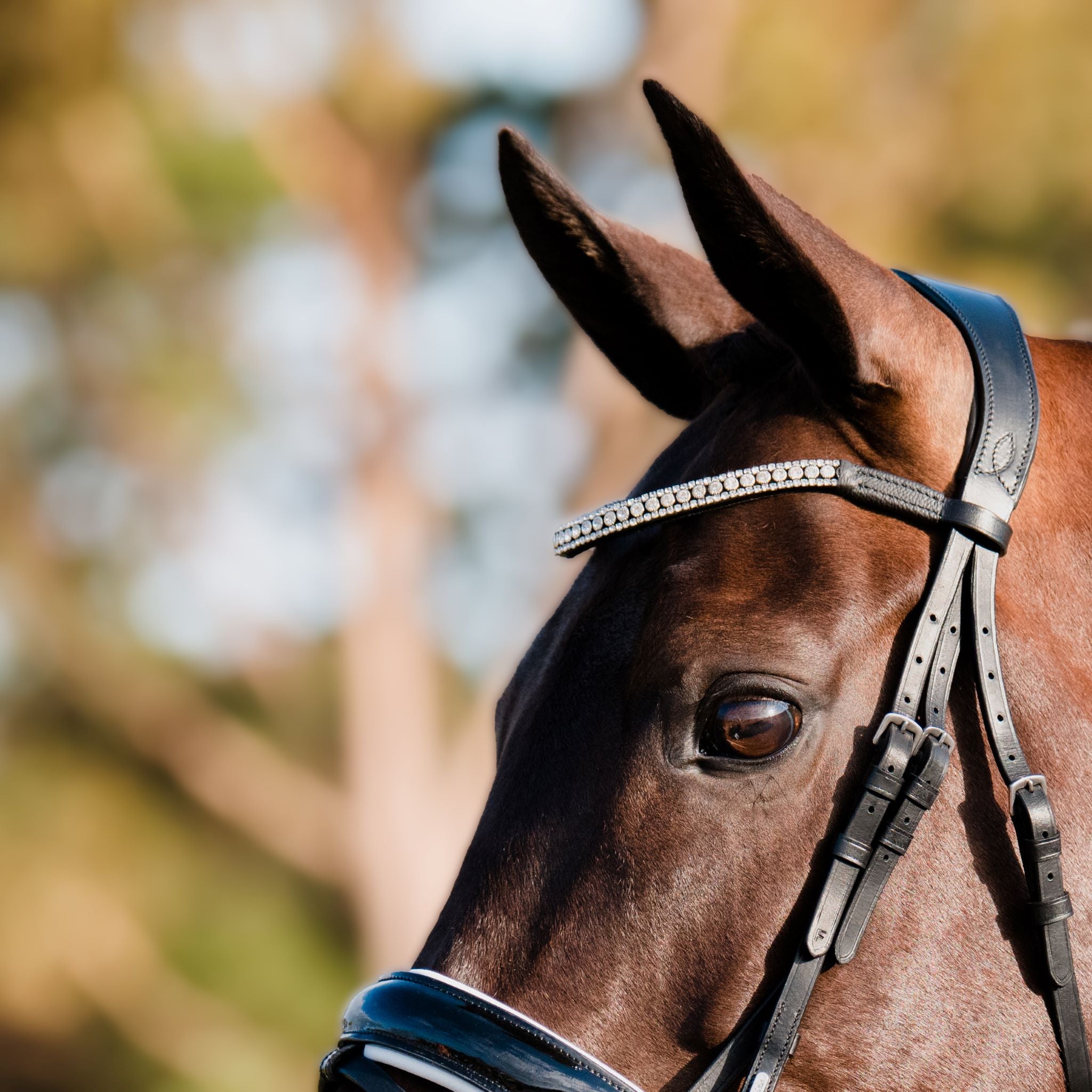 'Adeline' bridle (hanoverian) - Lumiere Equestrian