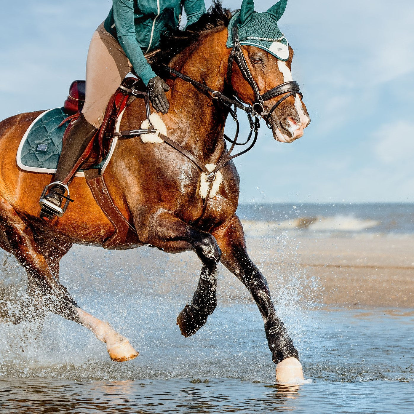 'Antiqua' breastplate - black & brown - Lumiere Equestrian