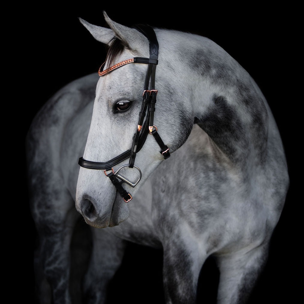 'Aria' Anatomic Leather Bridle (Euro Version) Clearance - Lumiere Equestrian
