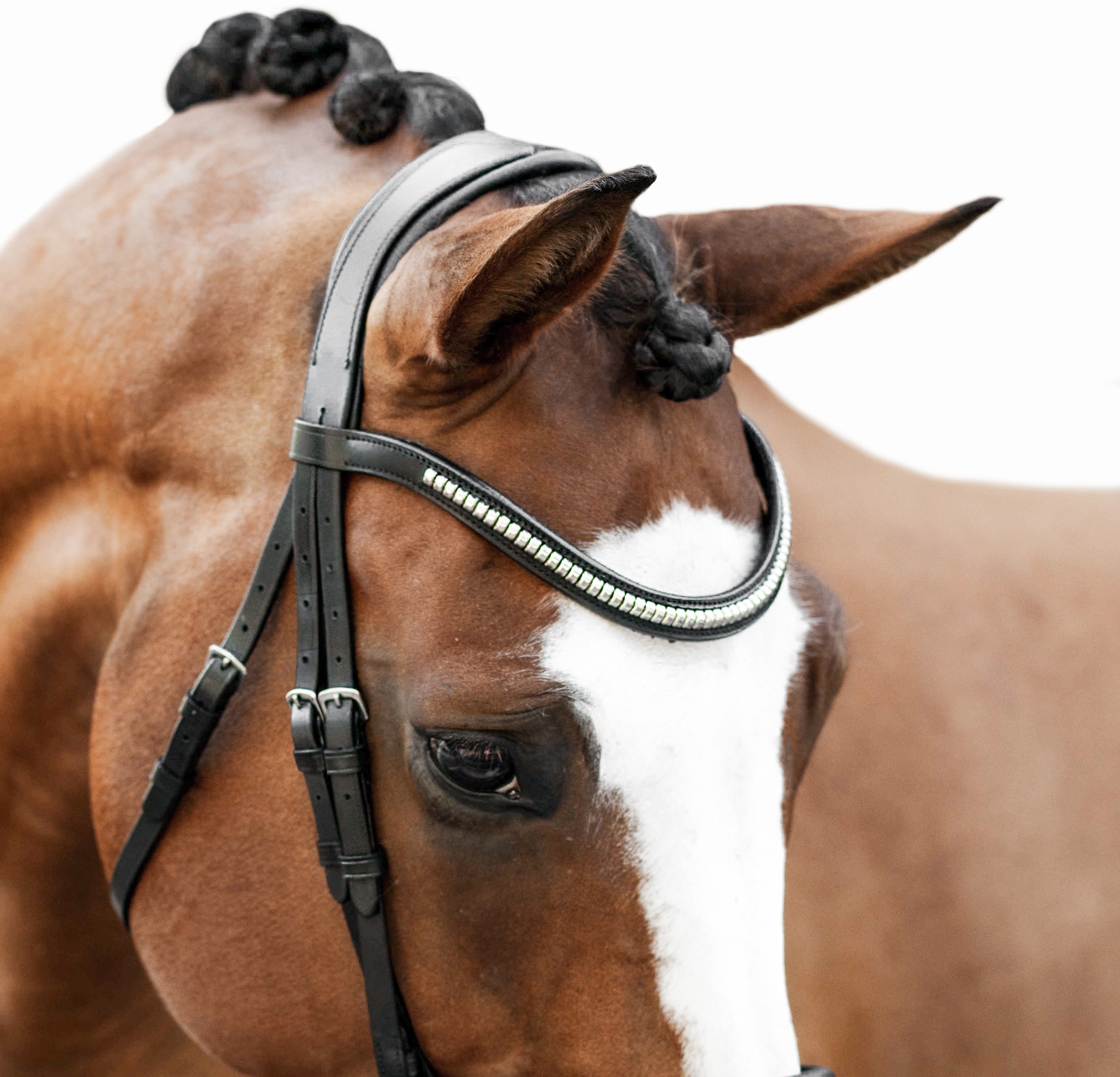 Melodie clincher browband - Lumiere Equestrian