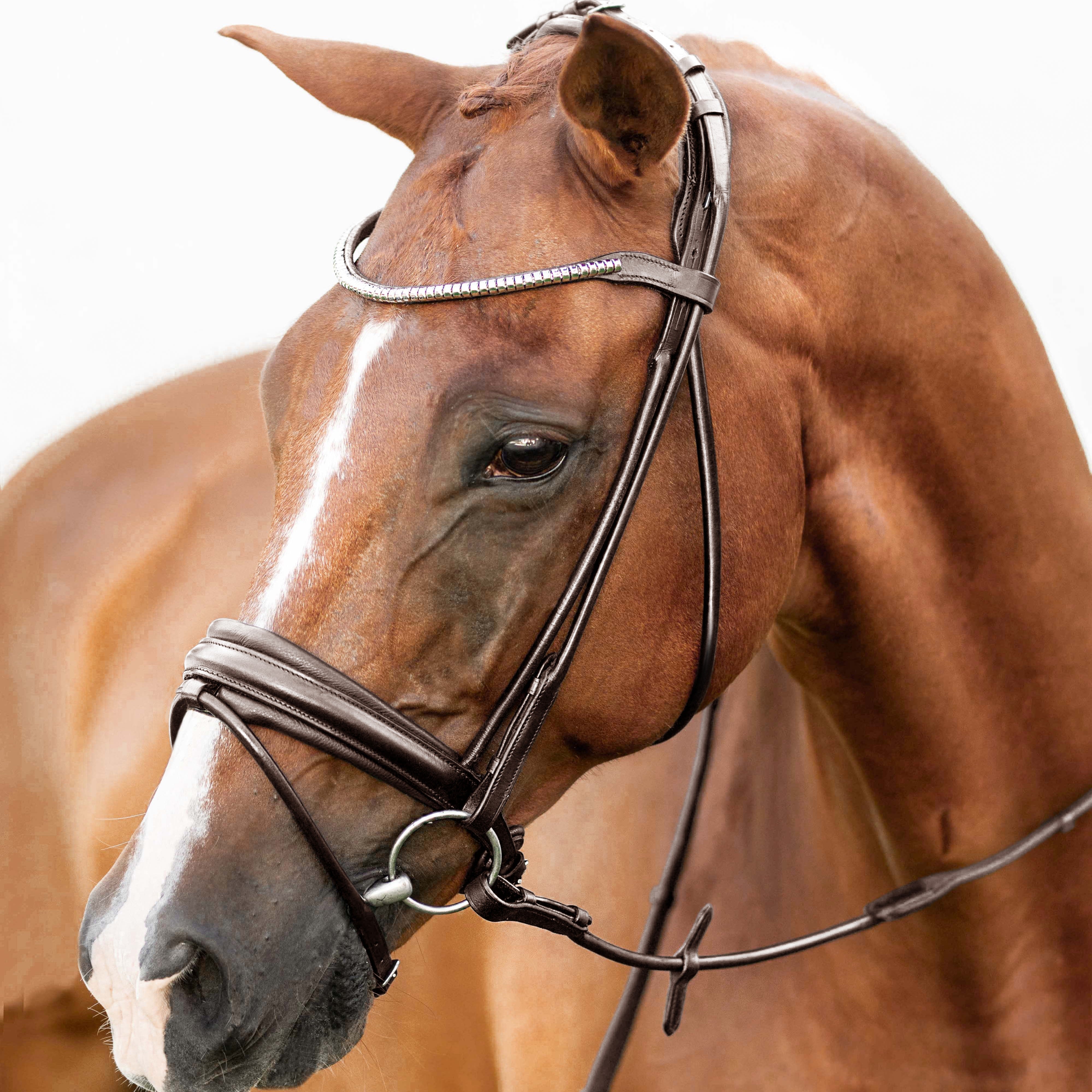 'Mercie' rolled classic bridle - Clearance - Lumiere Equestrian