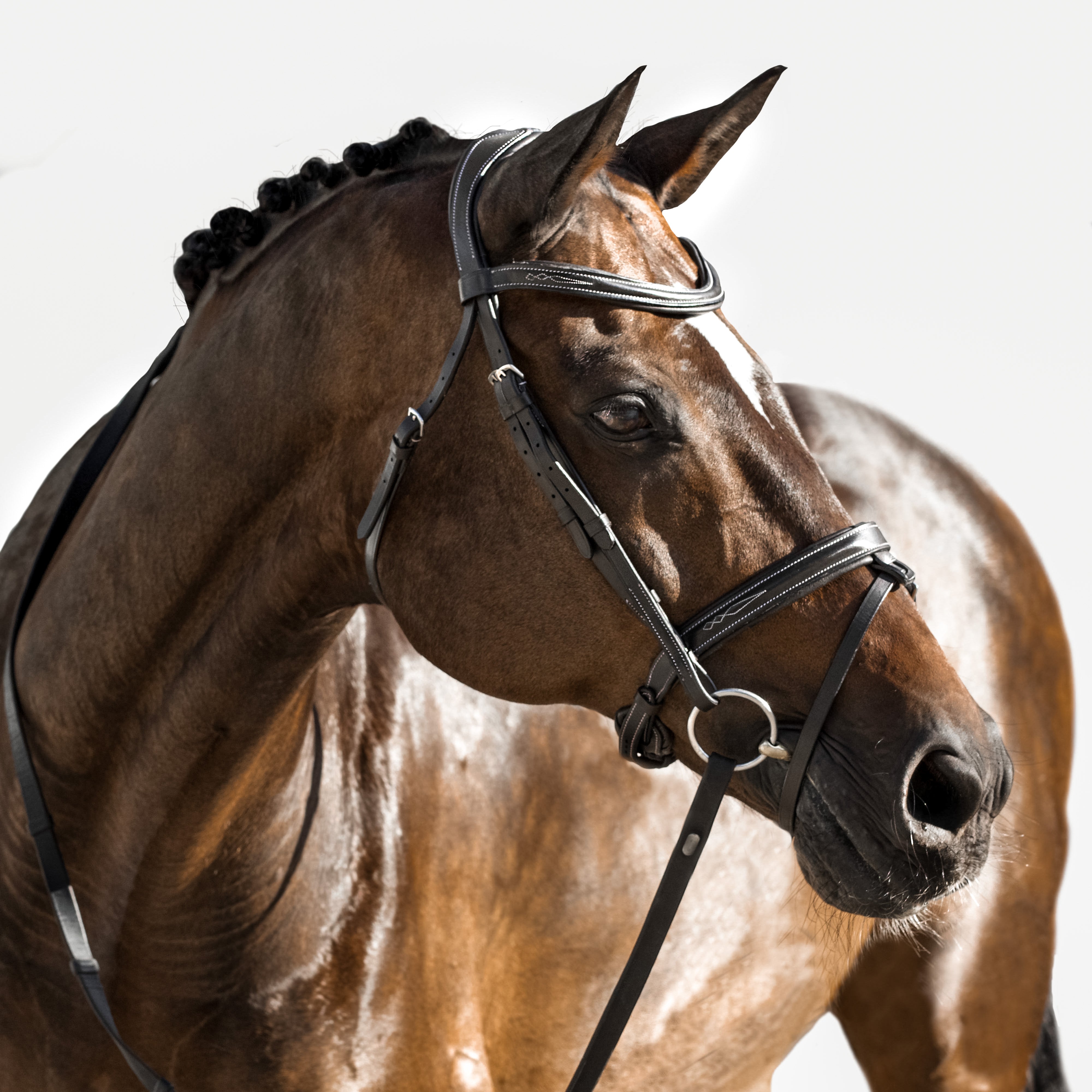 'Milan' leather bridle (convertible) - Lumiere Equestrian