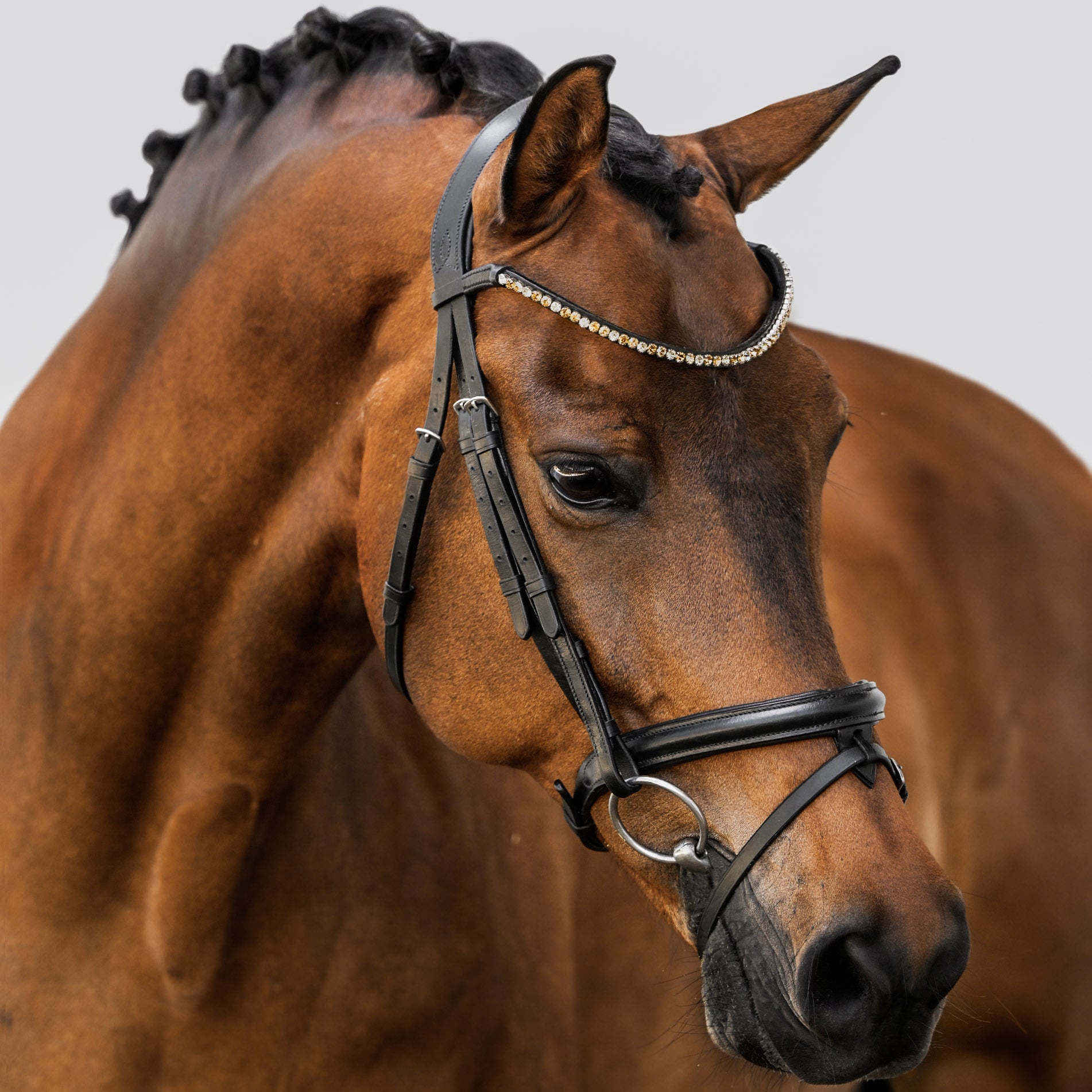 'Megan' convertible leather bridle - Lumiere Equestrian