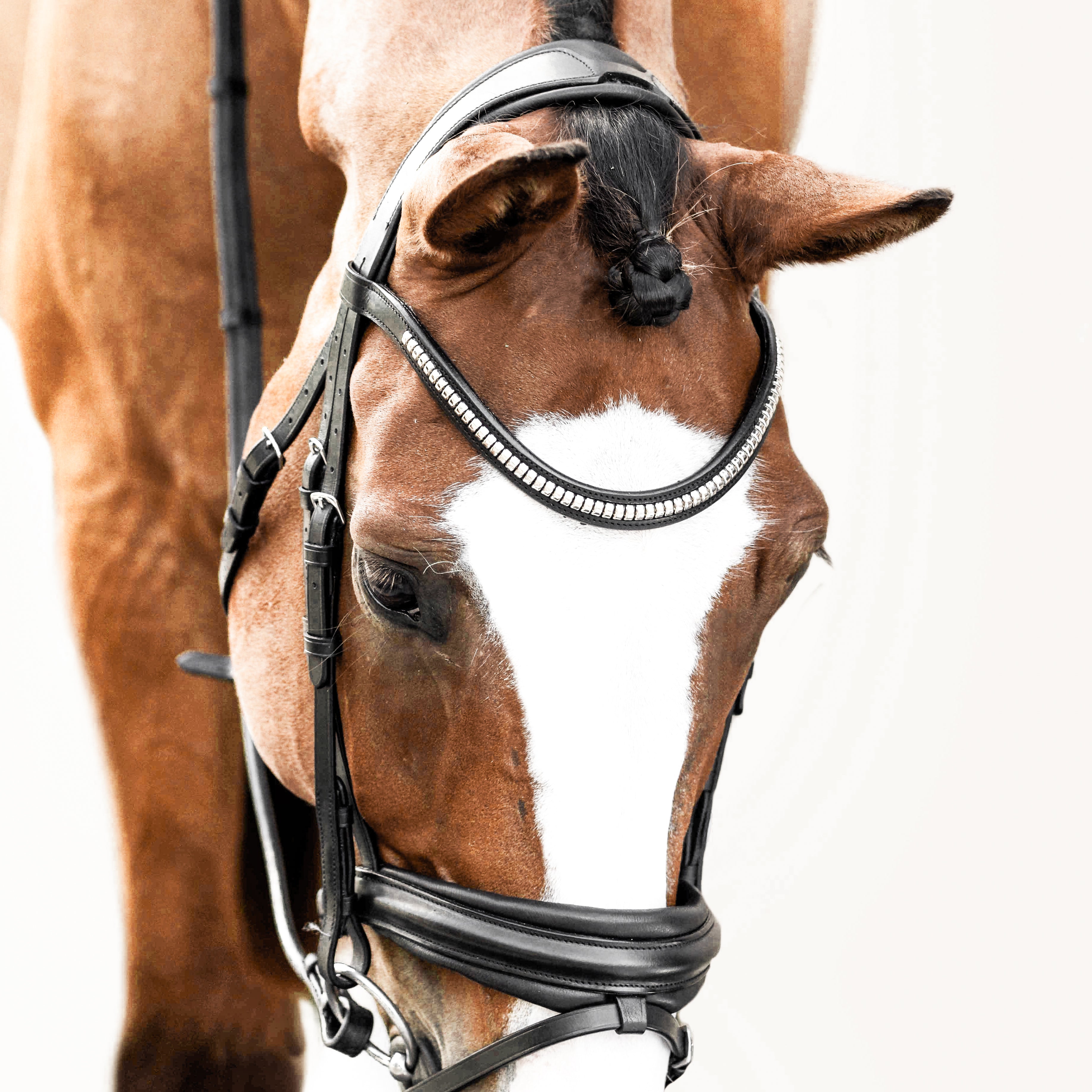 Melodie noseband - matte (hanoverian) - Lumiere Equestrian