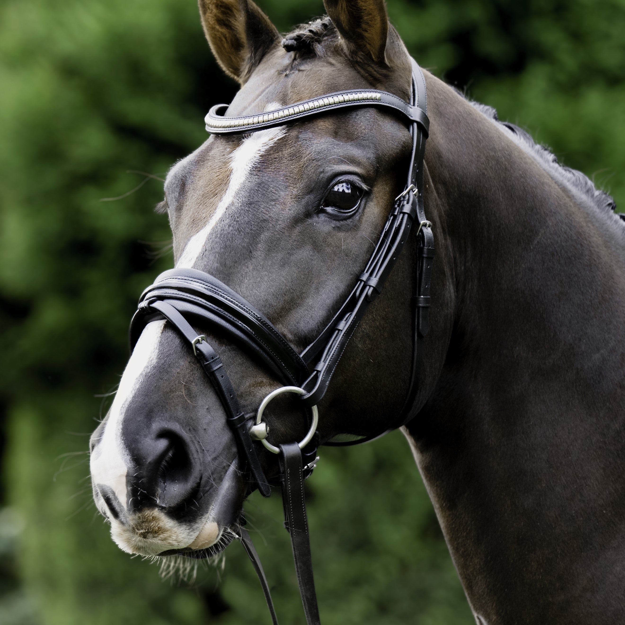 Melodie noseband - patent (hanoverian) - Lumiere Equestrian