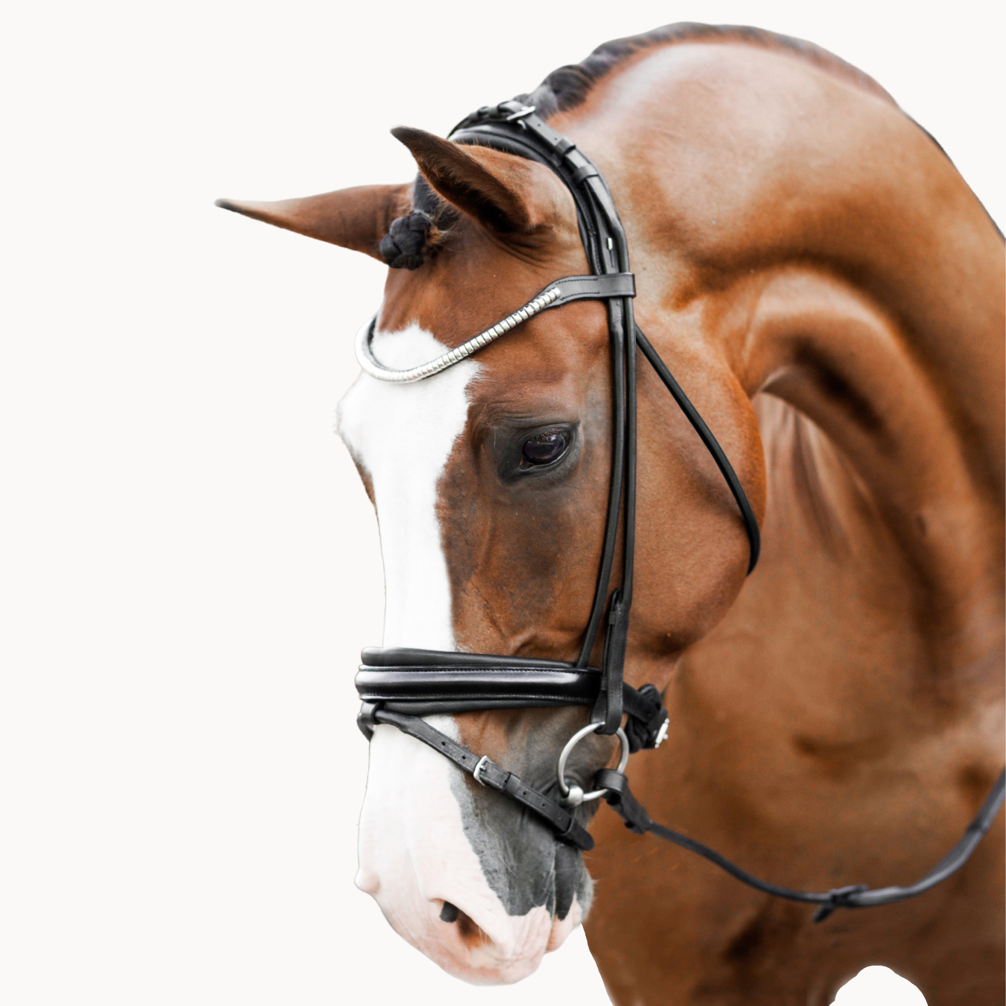 'Mercie' rolled classic bridle - Clearance - Lumiere Equestrian