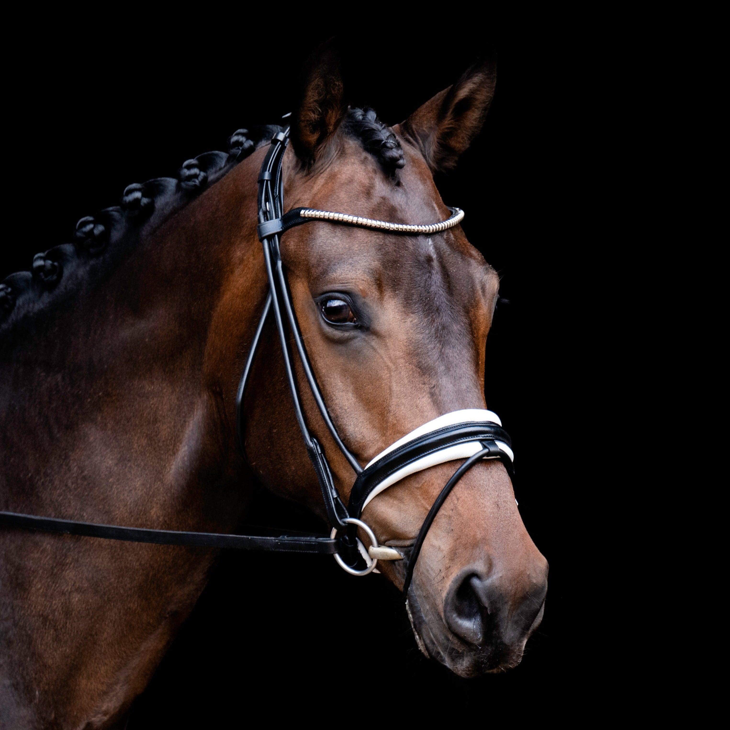 'Mercie' rolled white padded bridle - Lumiere Equestrian