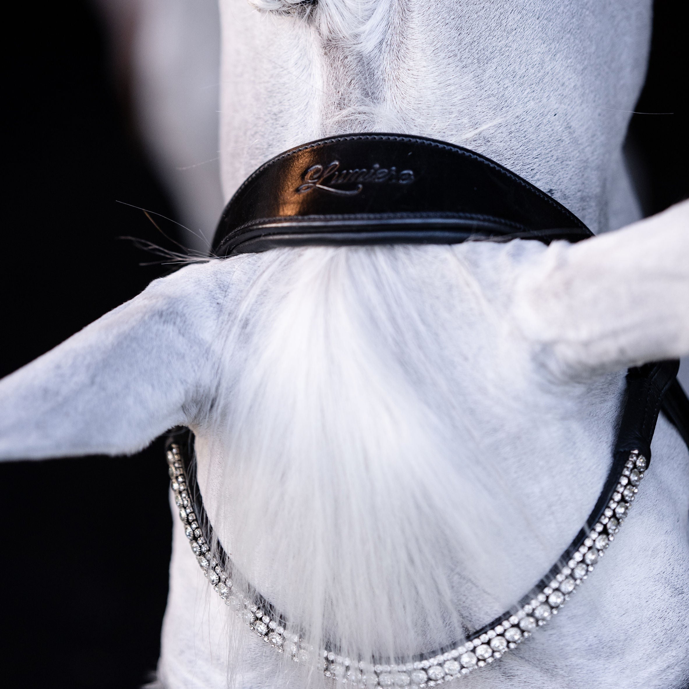 'Amie' luxury leather bridle - (double) - Lumiere Equestrian