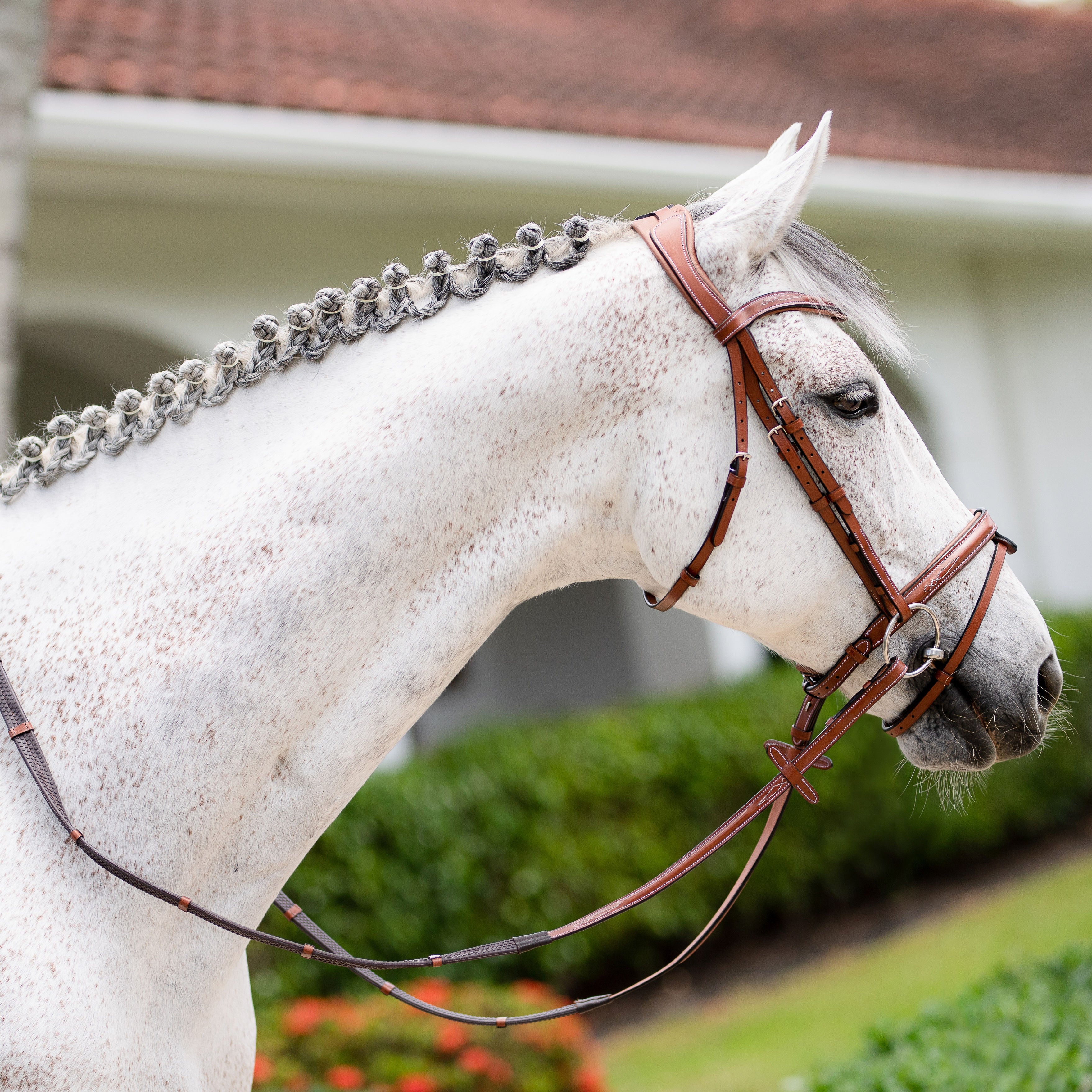 'Milan' leather bridle (convertible) - Lumiere Equestrian