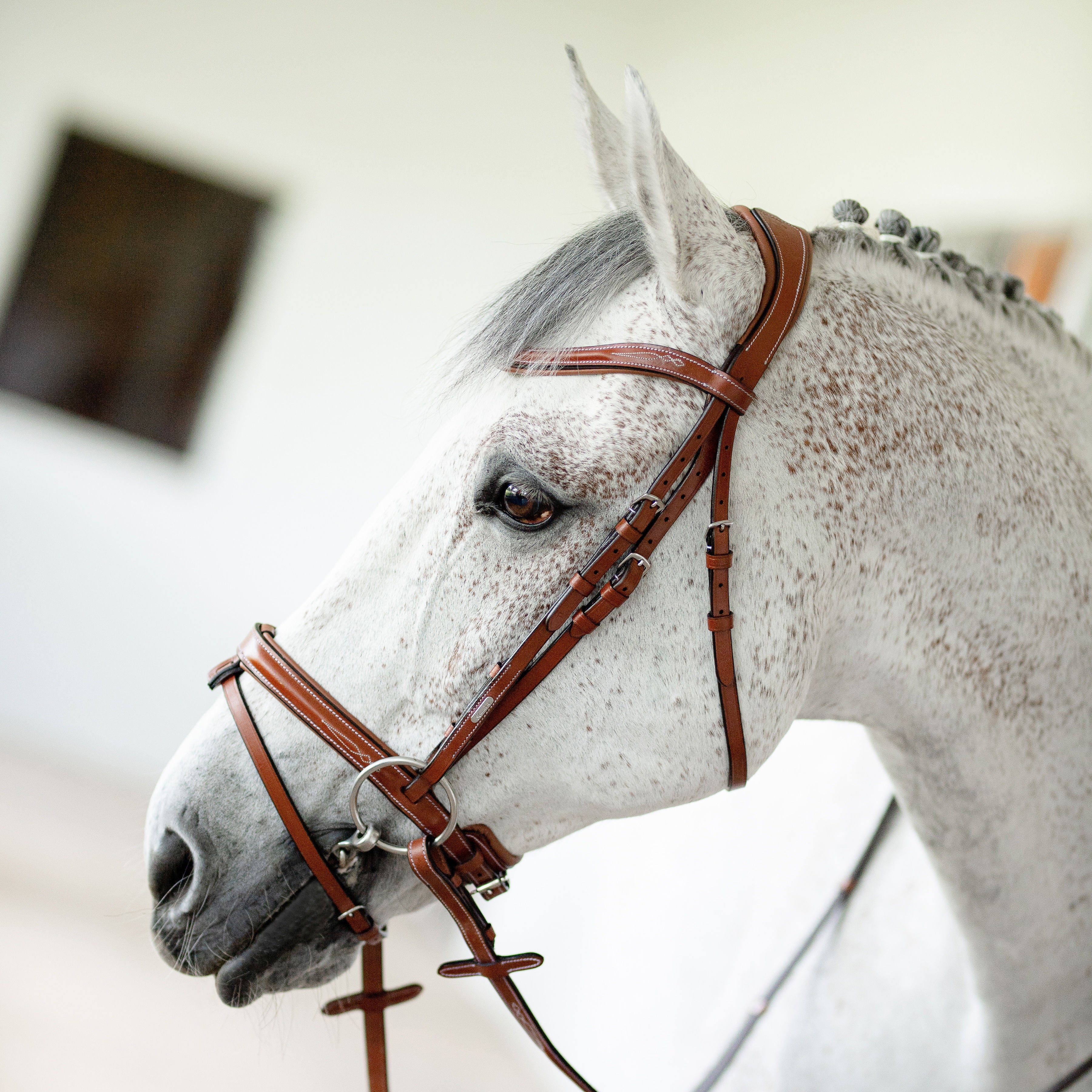 'Milan' leather bridle (convertible) - Lumiere Equestrian