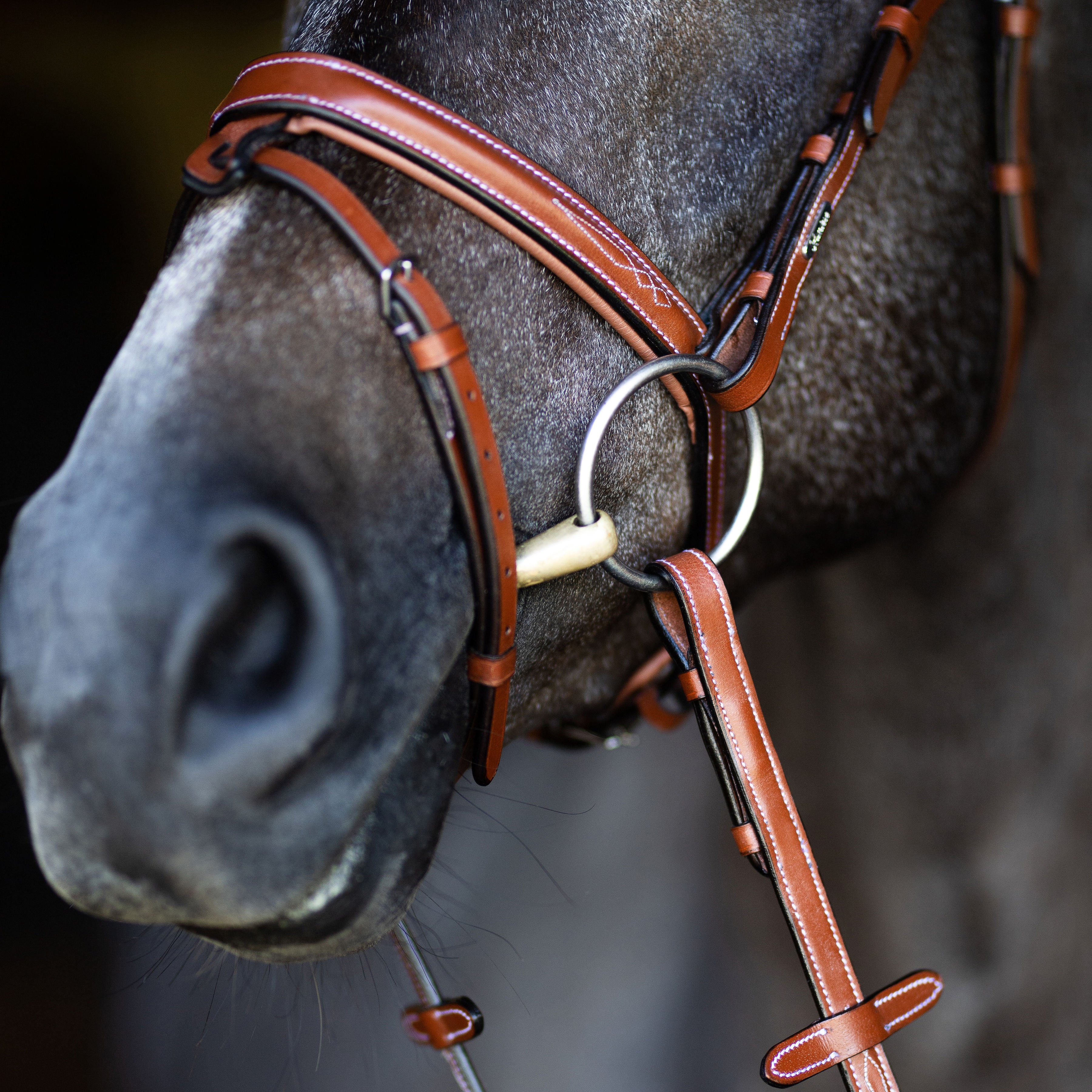 'Milan' leather bridle (convertible) - Lumiere Equestrian